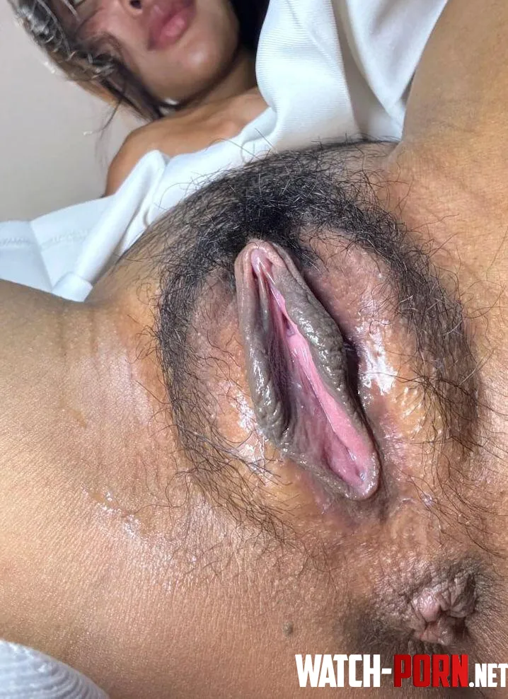 Asian bush by DreamySparksx