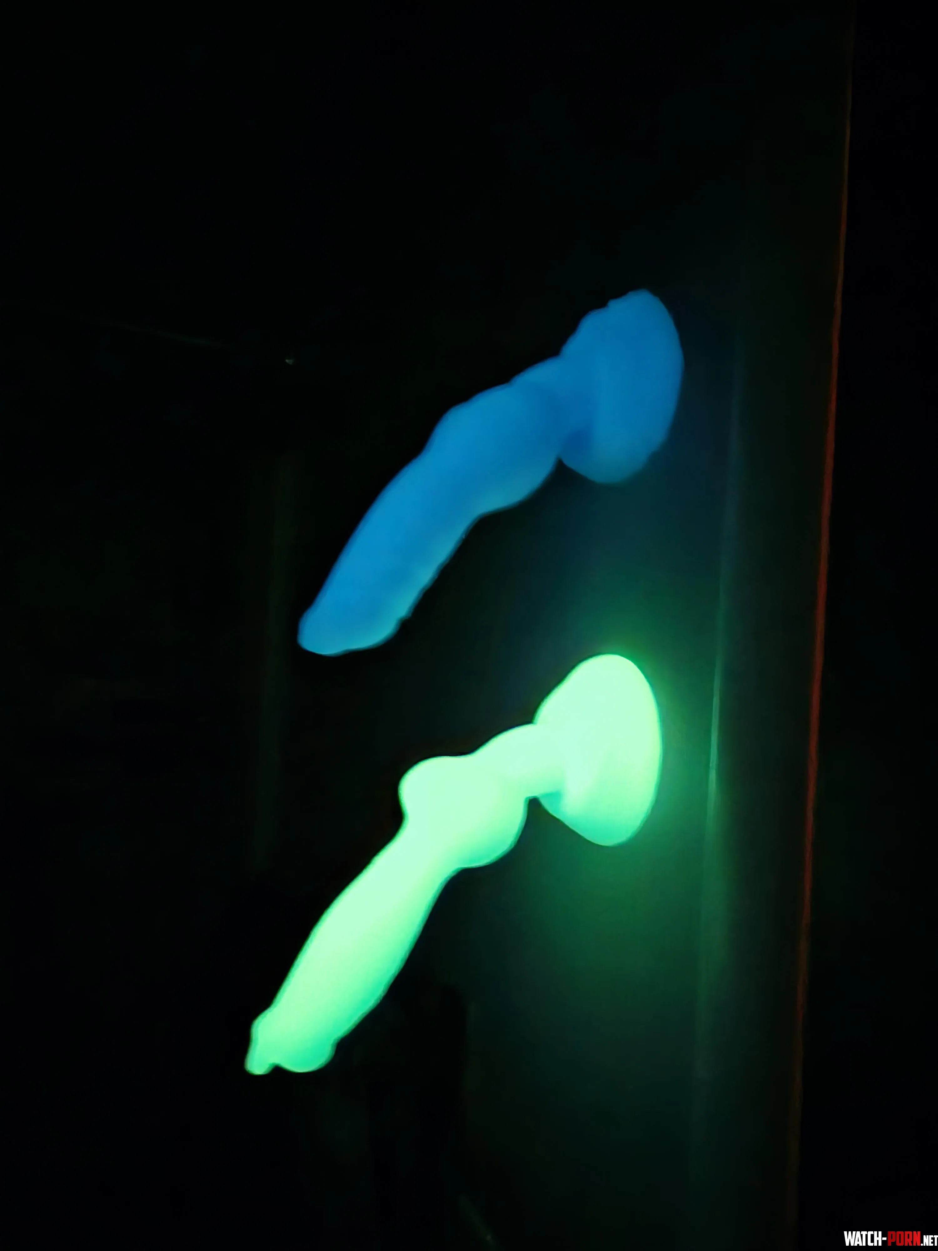 Austin has arrived! (Rex hanging out too.) by bussi_boi1