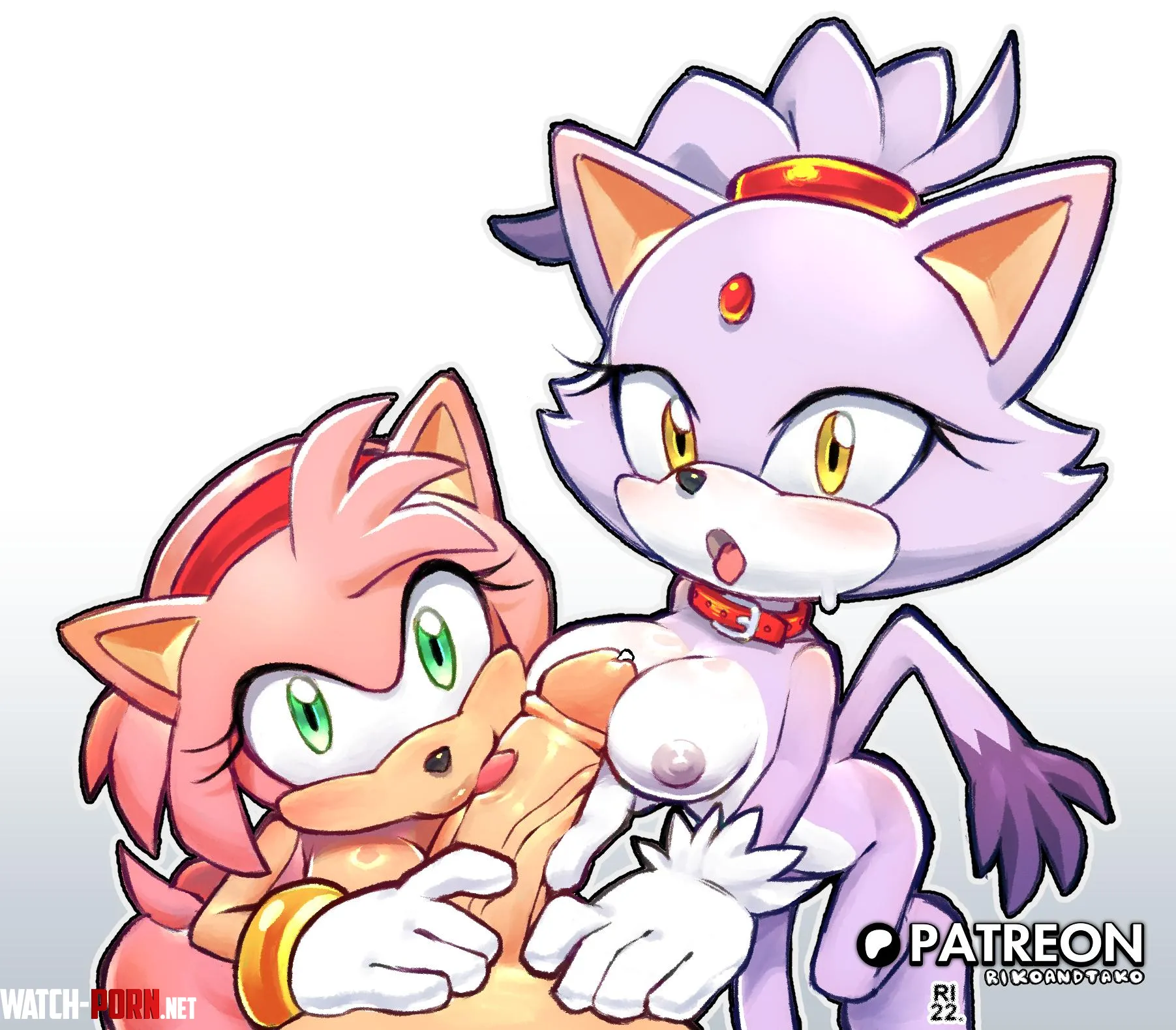 Amy & Blaze tag team [AhoandRiss] by JadedHand3951