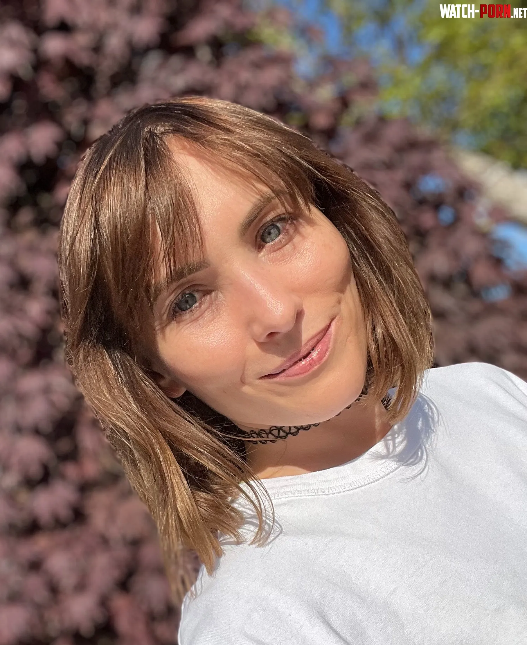 Tatar and French by Bitter-Opening-4118