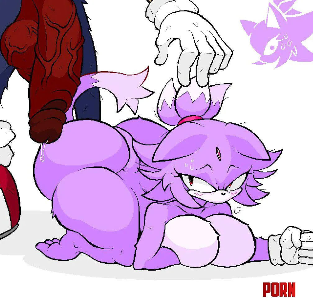 Blaze the Cat (evrc) [Sonic the Hedgehog] by Maribelxpetals