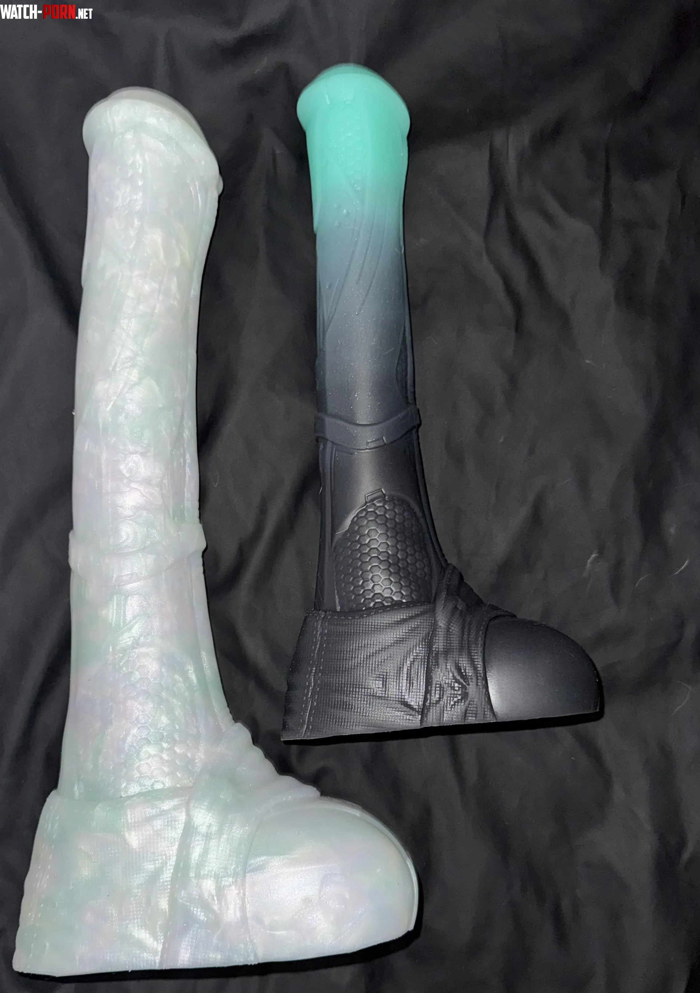 M Vector vs L Vector by dykerat