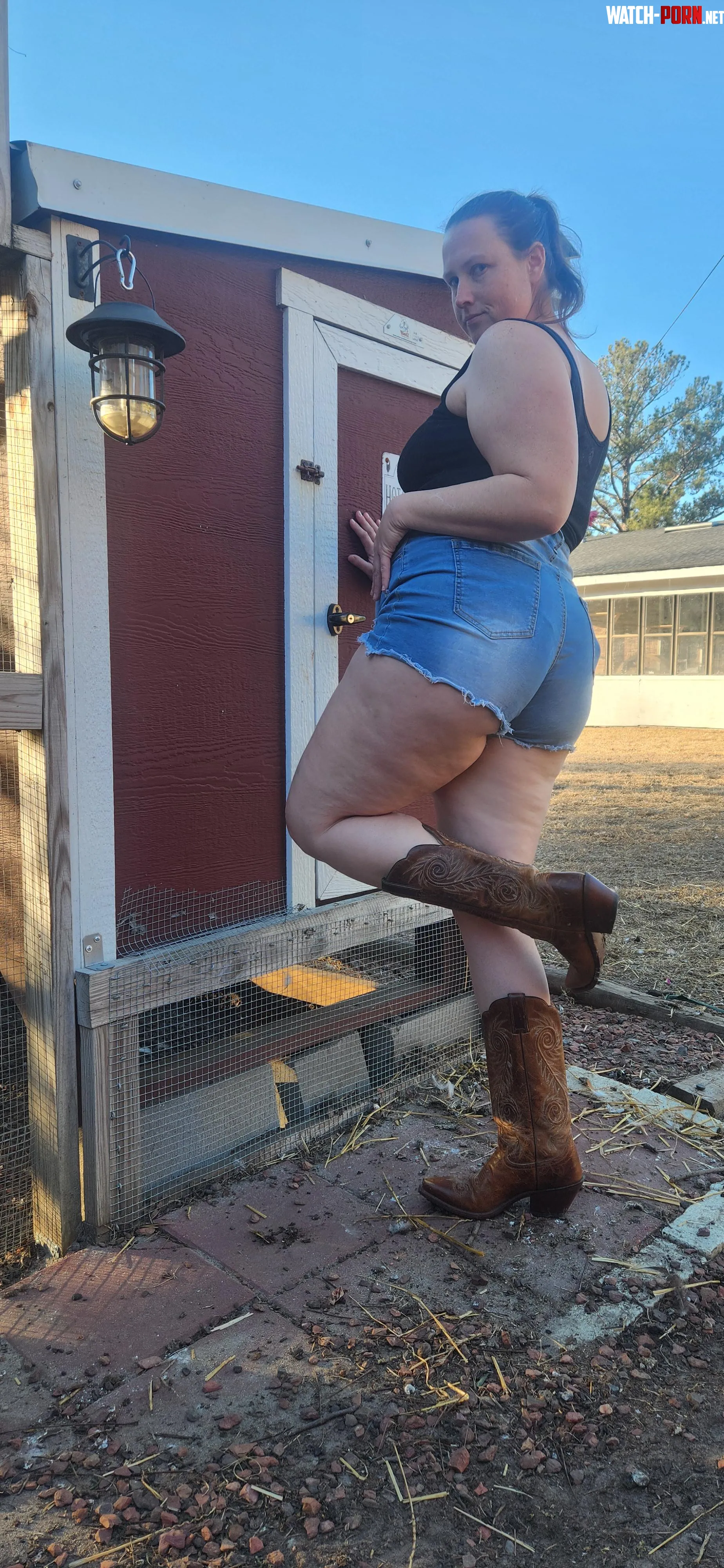 I could use some help with the cocks by ivyB87