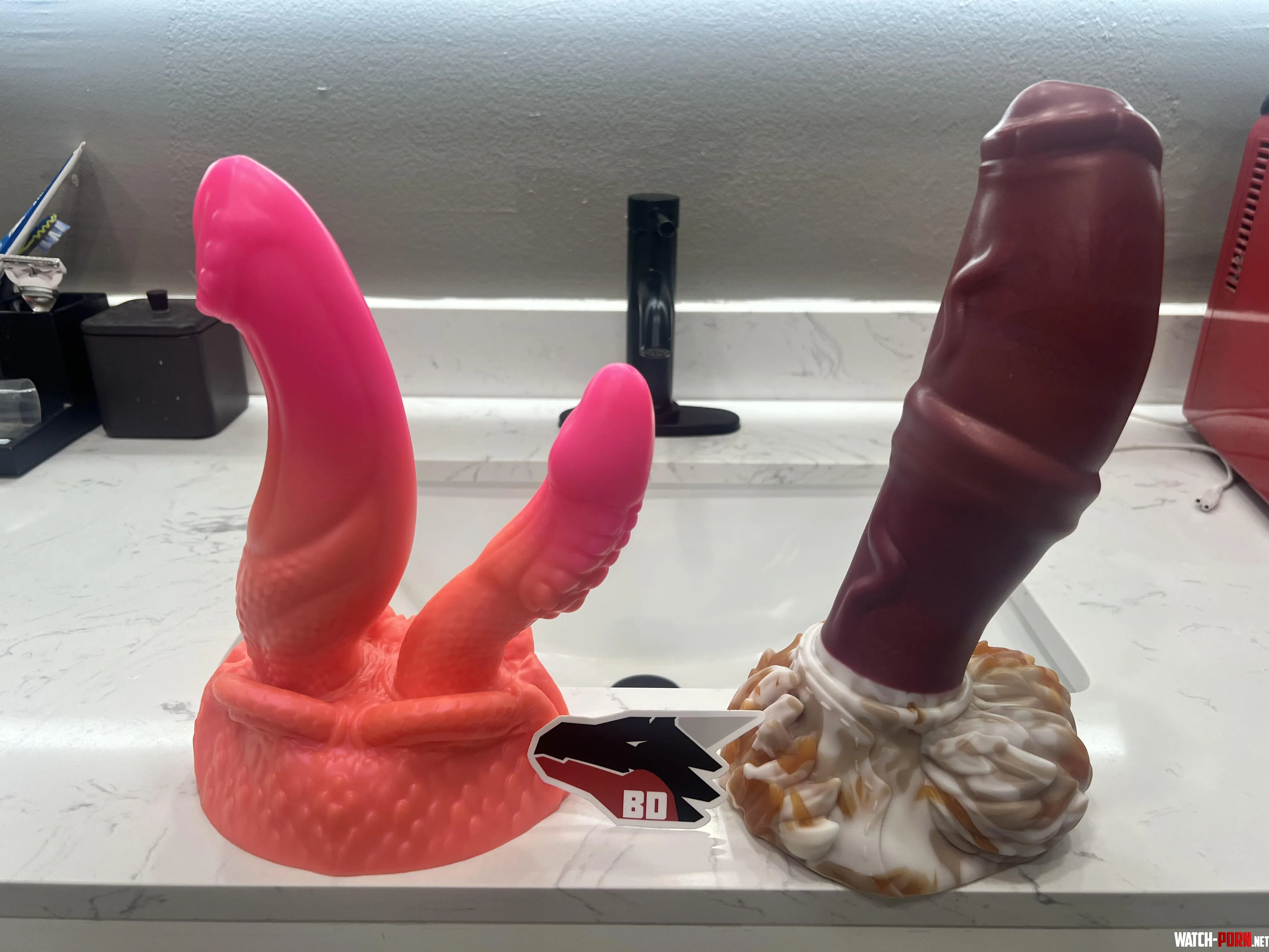 My Valentine’s Day present arrived! by hotnflorida