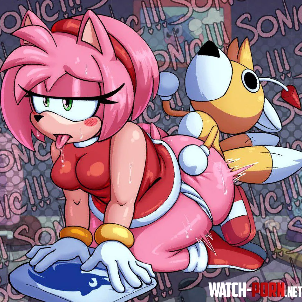 Amy Rose x Tails (endlessfin) [Sonic the Hedgehog] by Maximum_Virus_5364