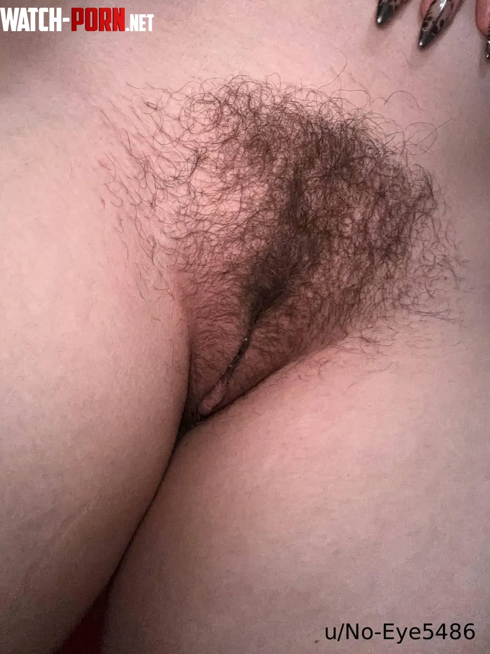 Look at how cute my bush is 😇 by No-Eye5486