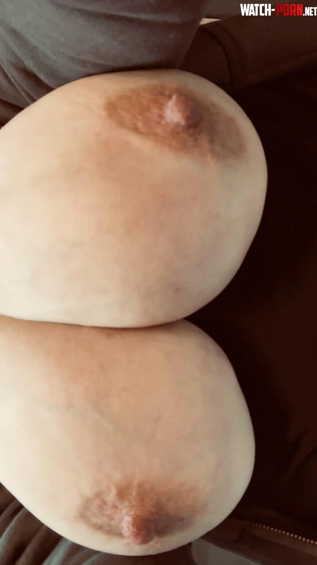 Do you want to know what they taste like? by Foxy_bb36