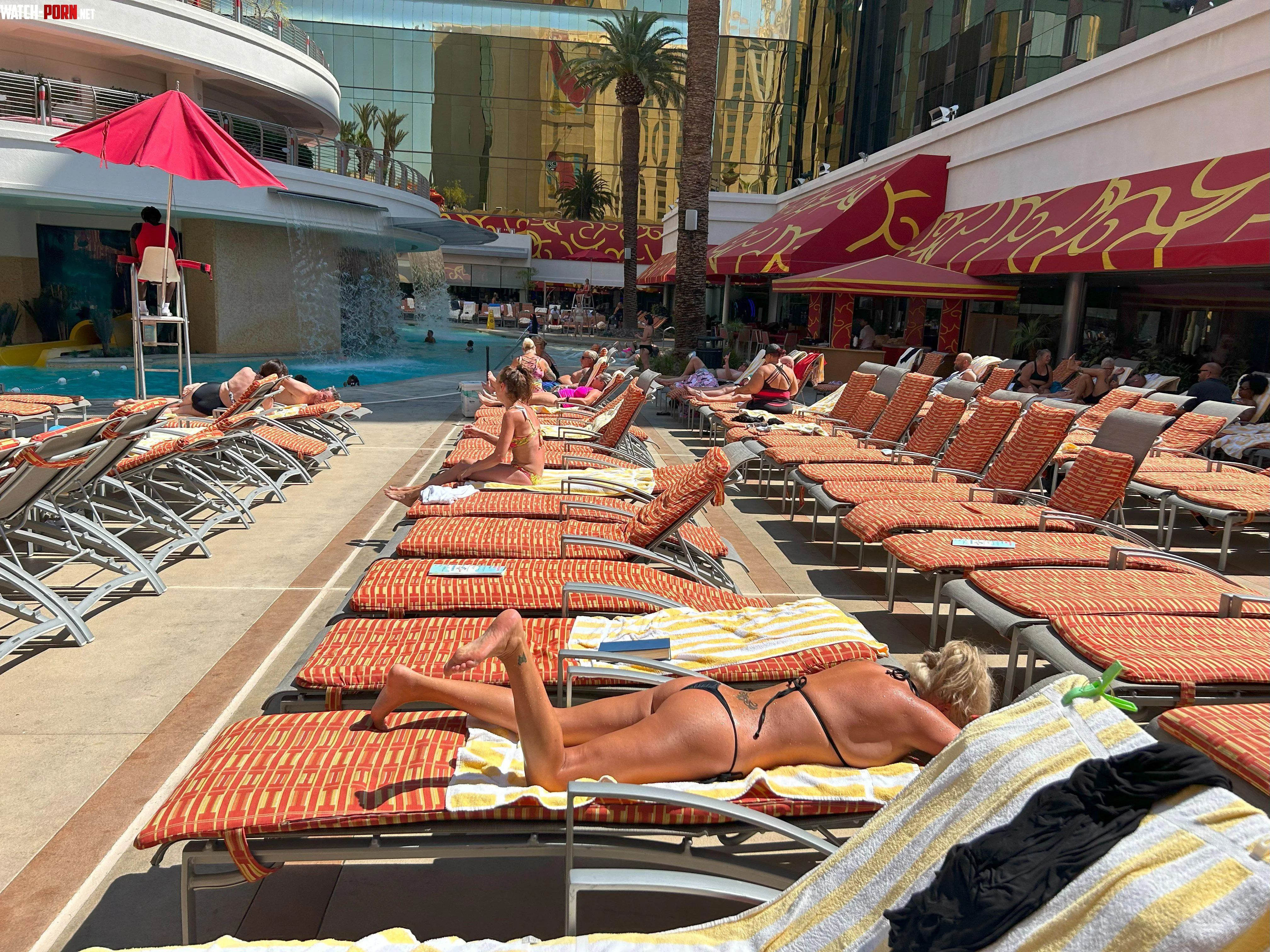 Getting my tan on in a tiny bikini in the 120 degree heat in Vegas by hotwifeshowoffxxx