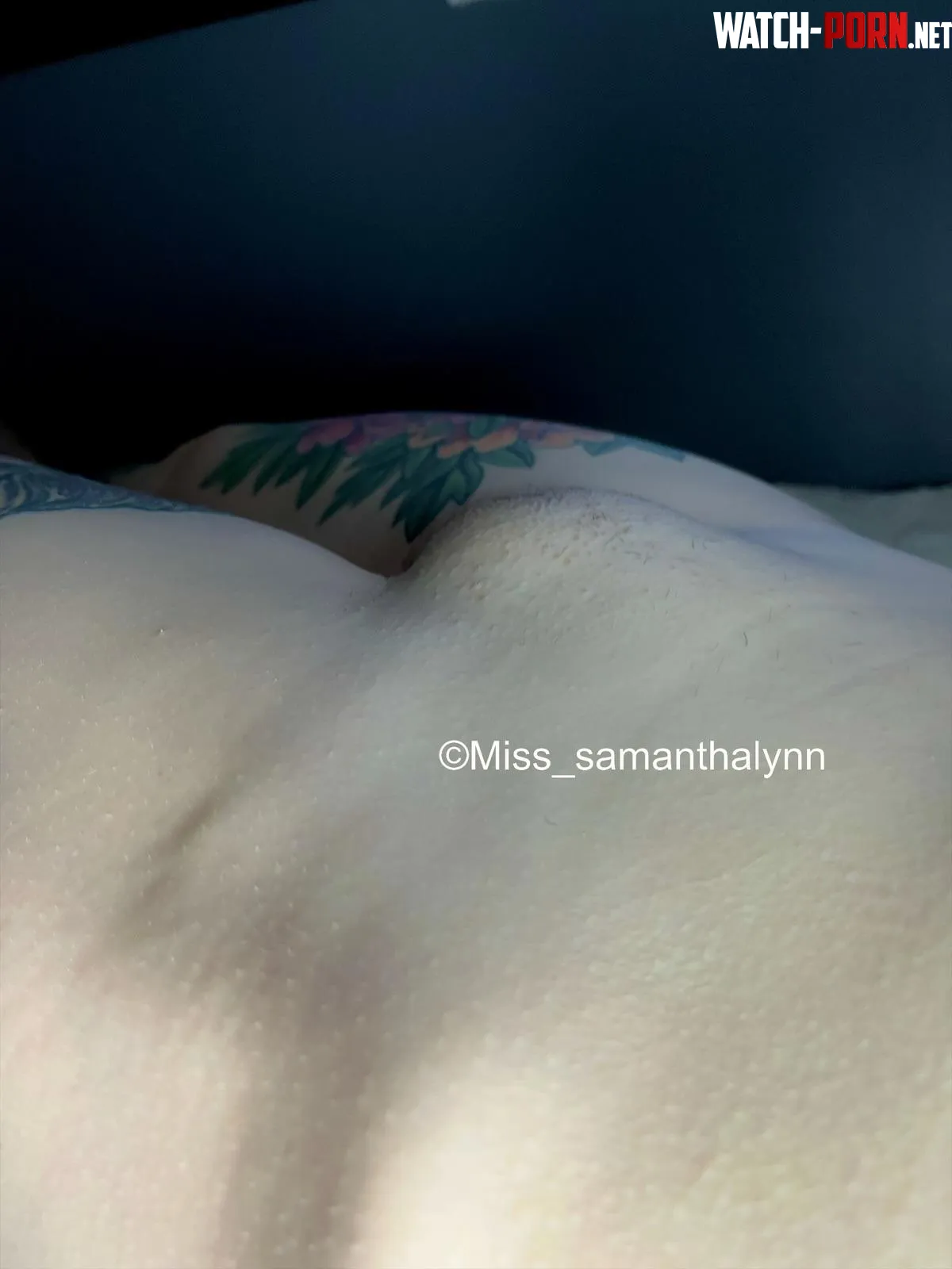 Perfect place to rest your face. by miss_samanthalynn