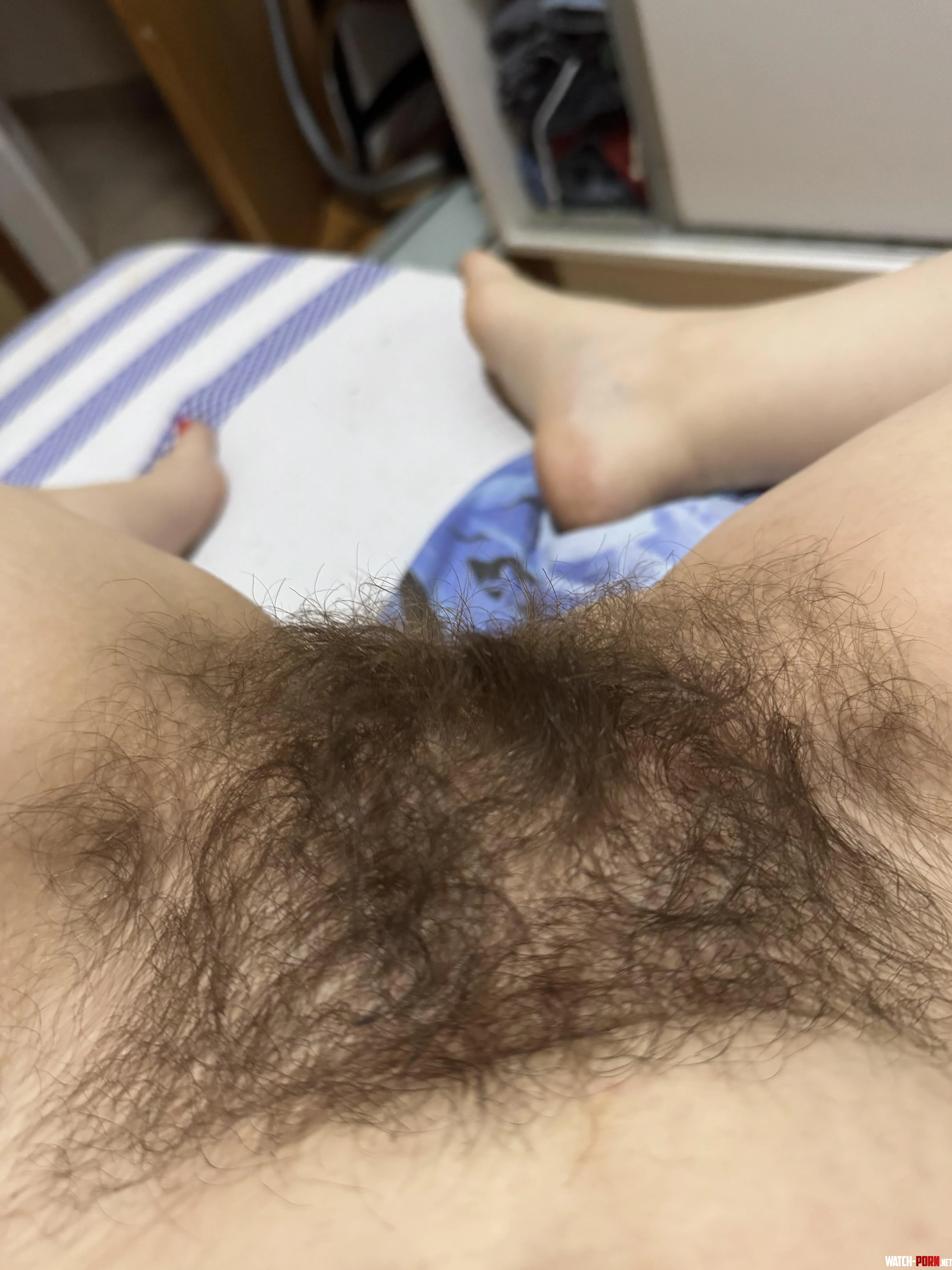 I heard you can’t resist hairy pussy… by Fuzzy-Company-7074