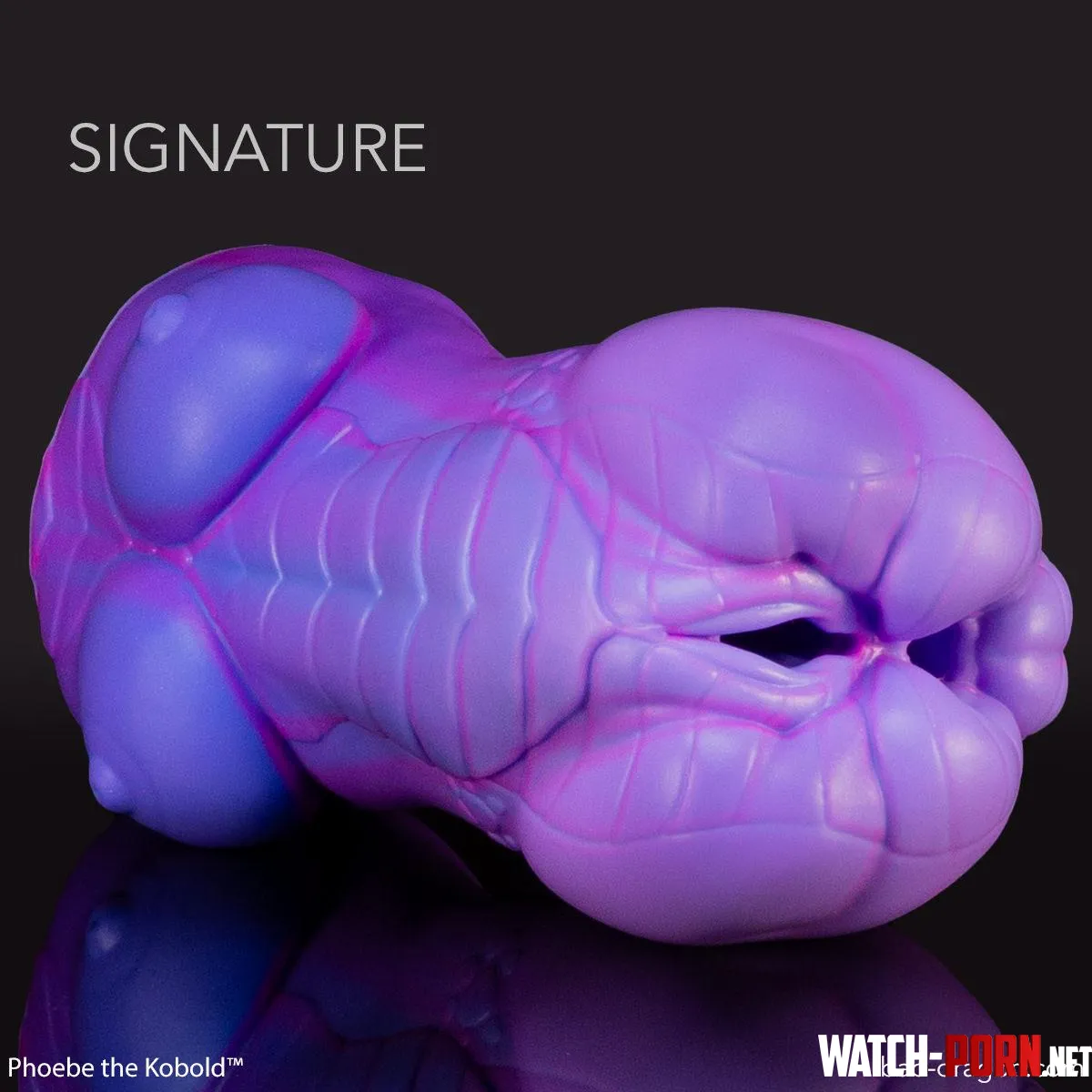 Phoebe! What a cutie! by Frequent_Record_469