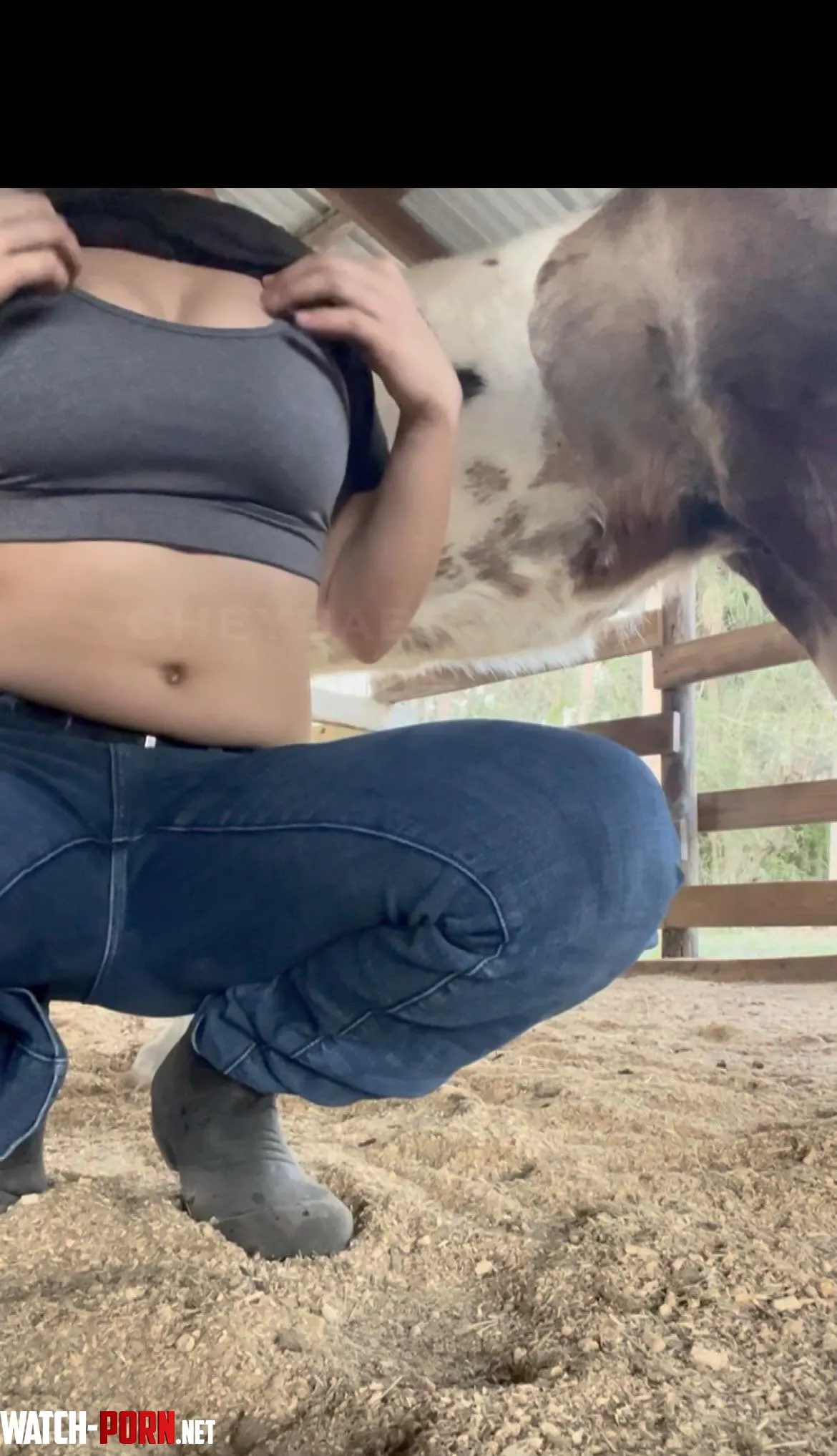 Farm chores by cheybabby_777