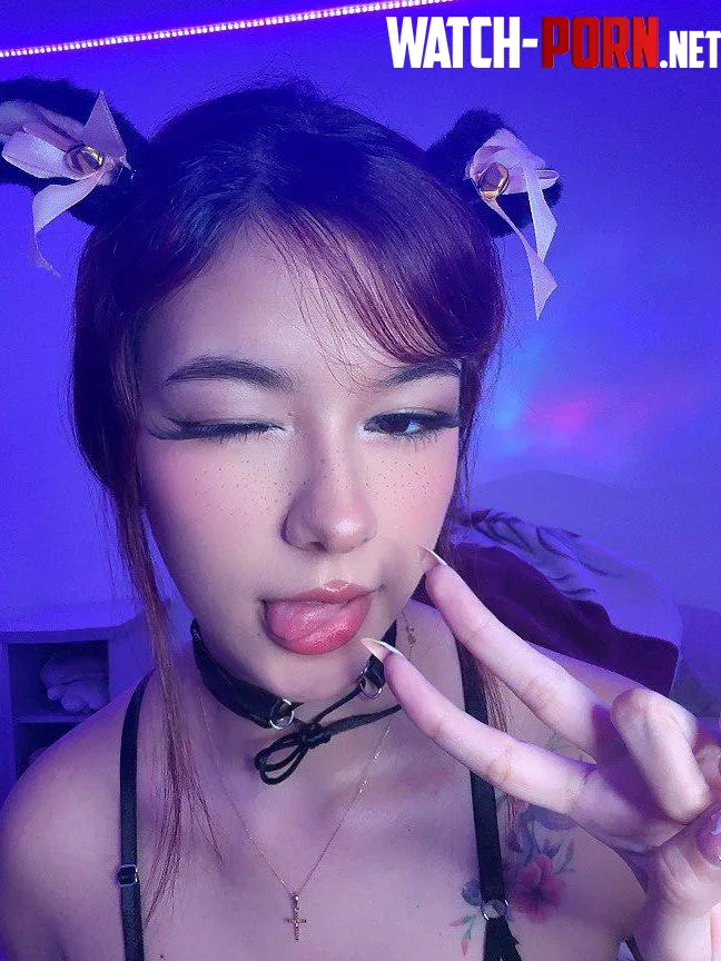 smash or pass on first meet? by bunnyvenoms