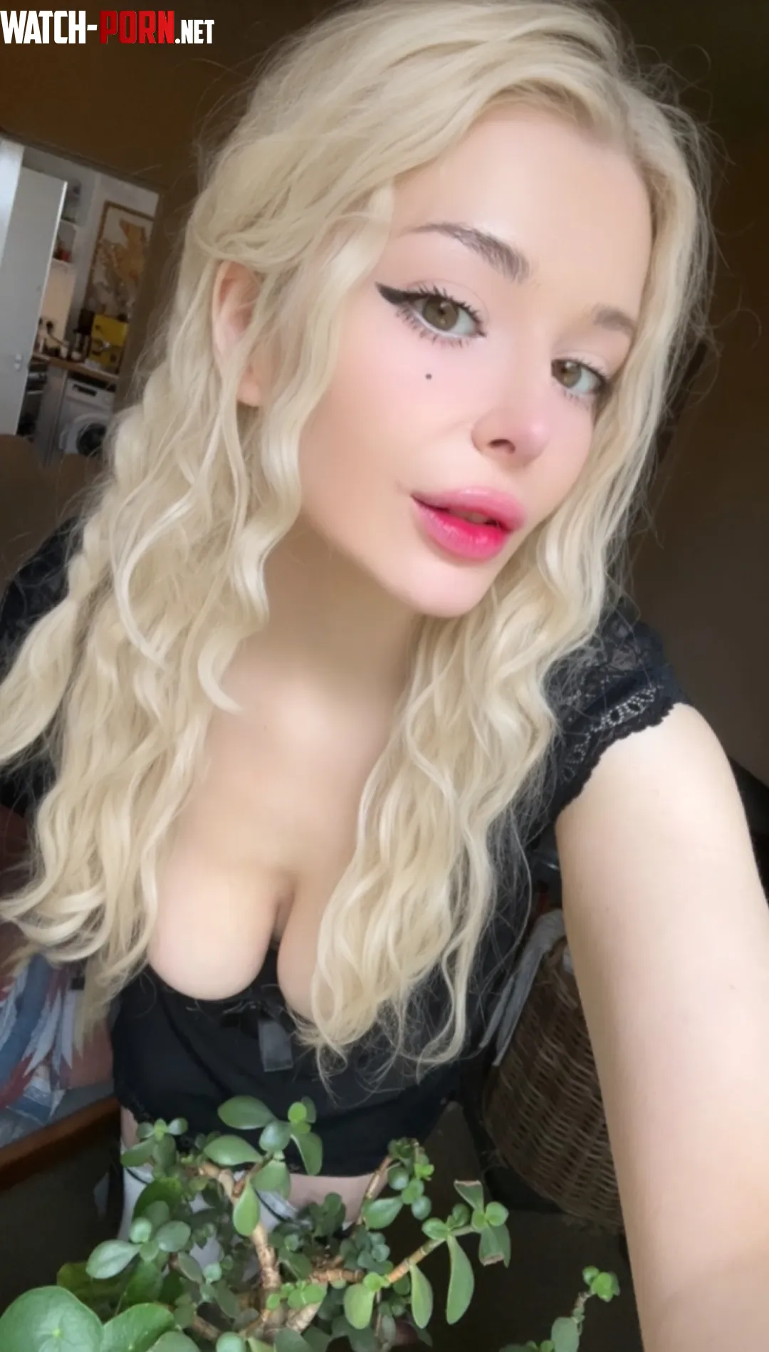 Handing out by Signal_Estimate6503