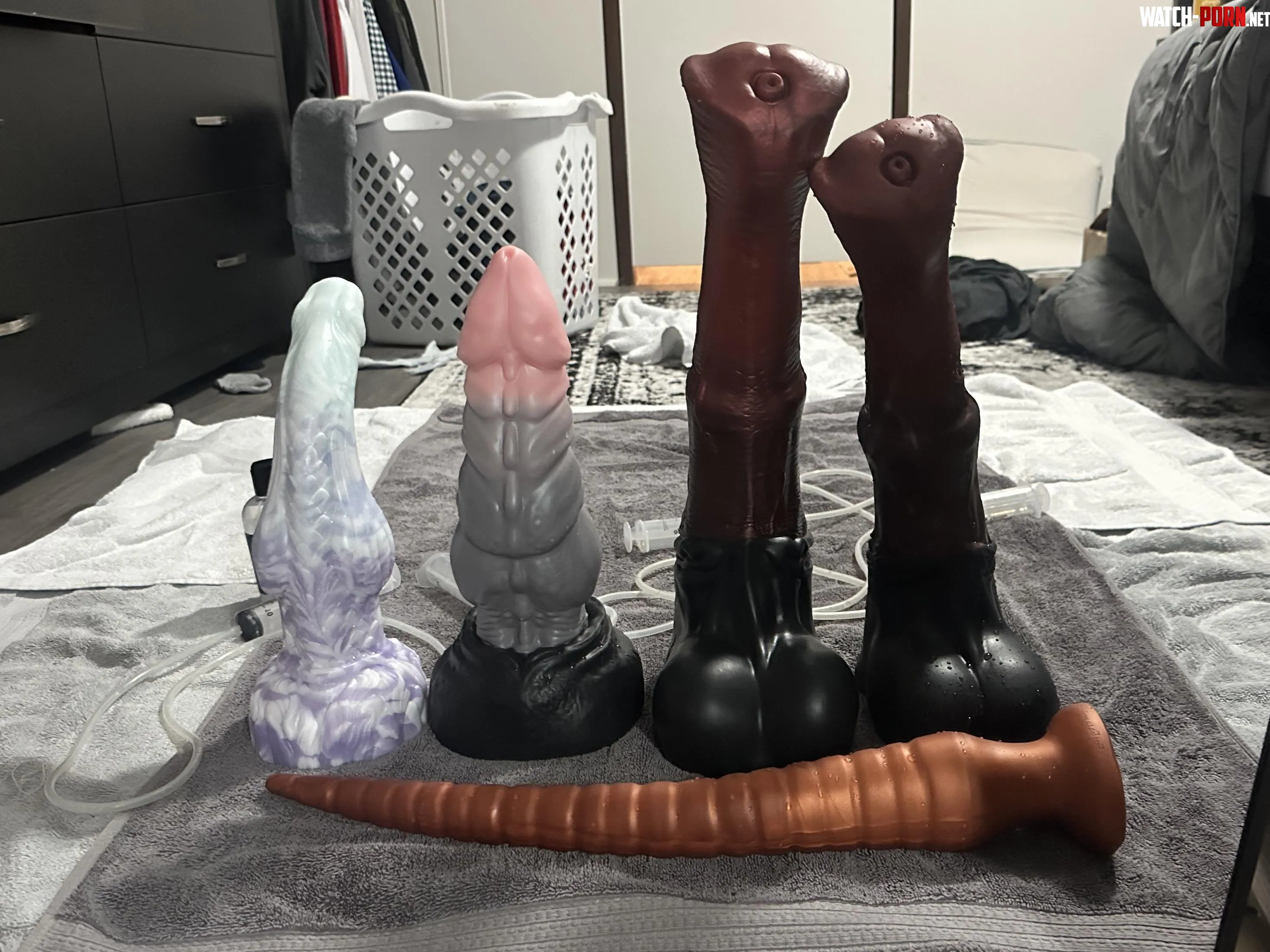 My 8 Month Collection by Illustrious_Fox8218