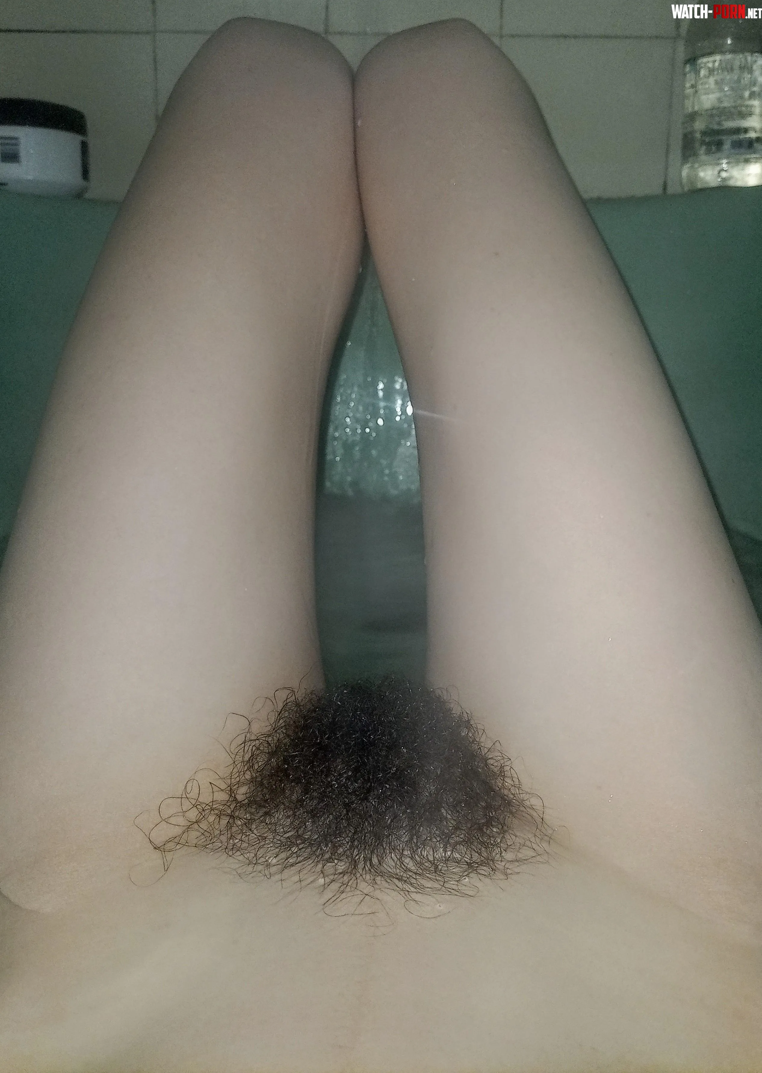 i love how my bush looks in this photooo by ohyesClara