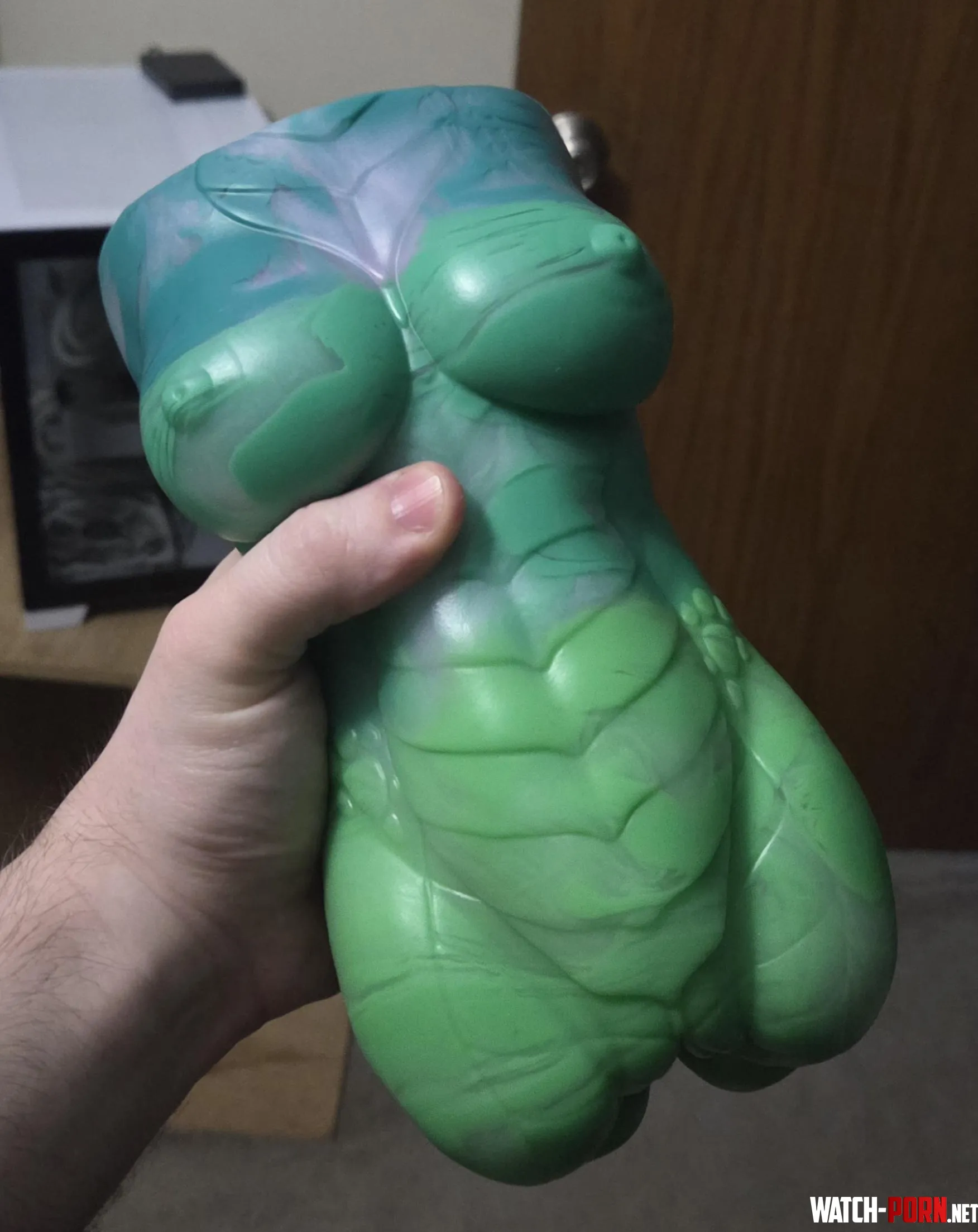 Got my Phoebe as I pulled into the driveway! by ScockNozzle