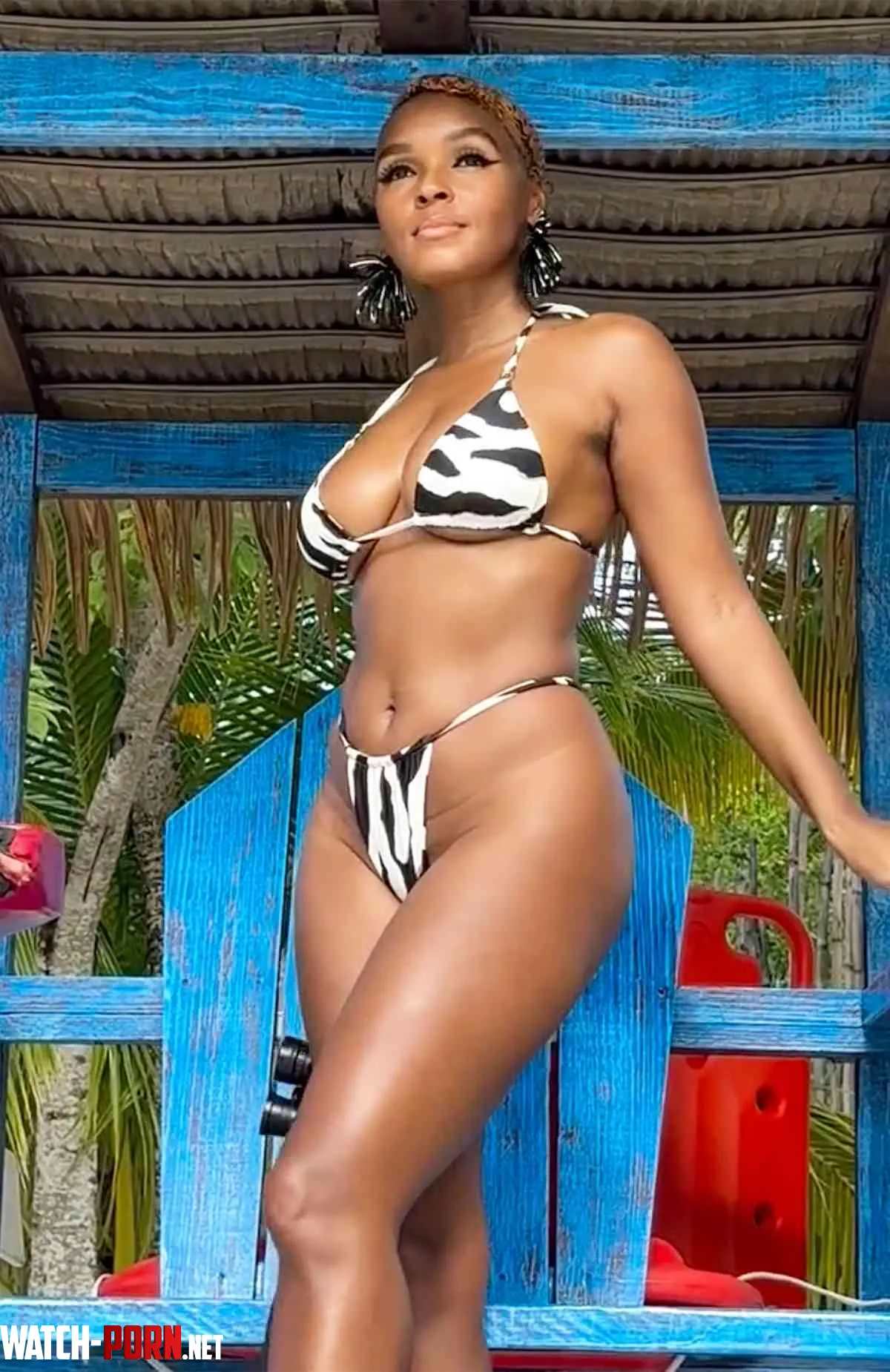 Janelle Monáe by Kindly_Insect_7492