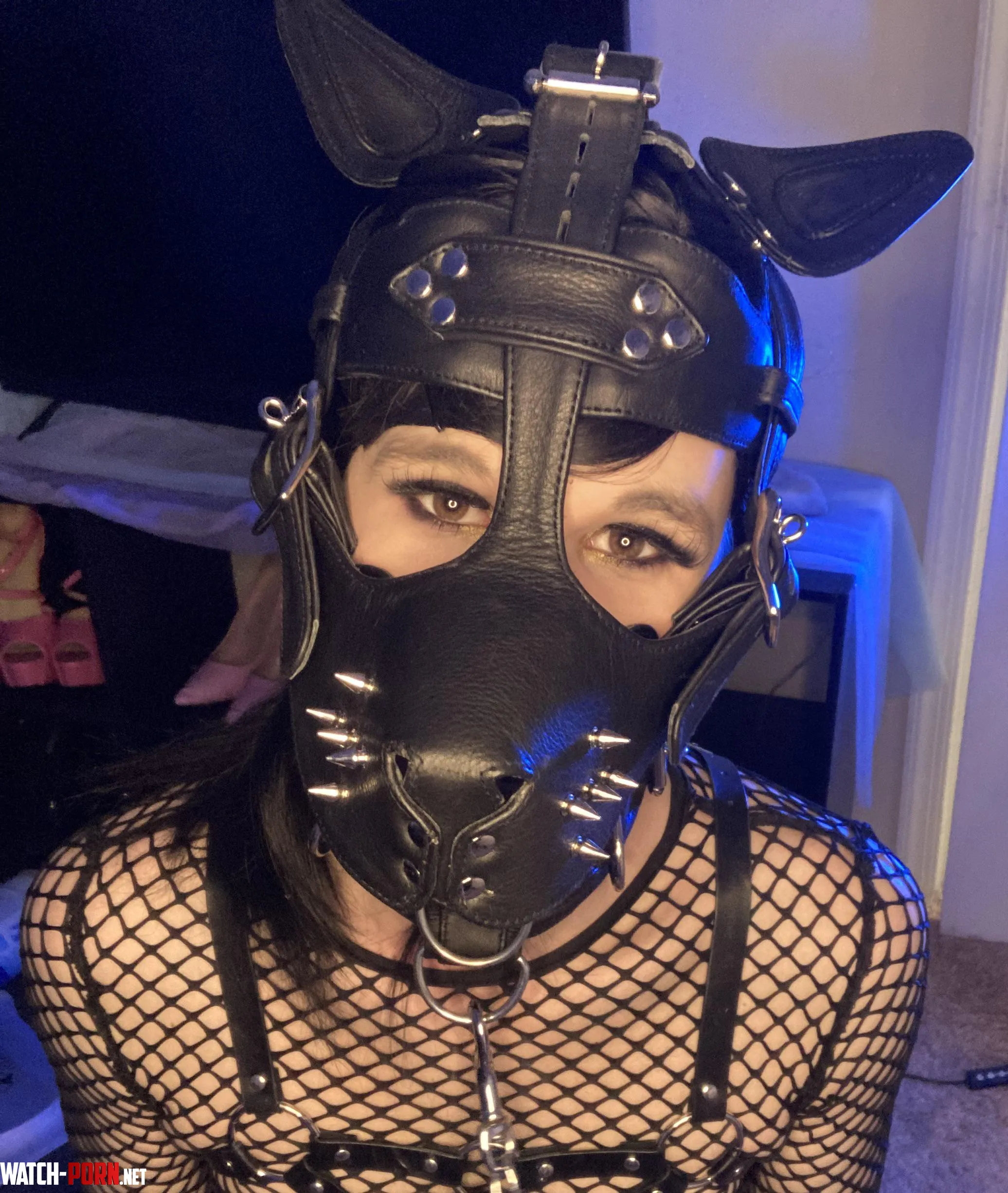 woof, arf, bark by Kitten_Evelyn