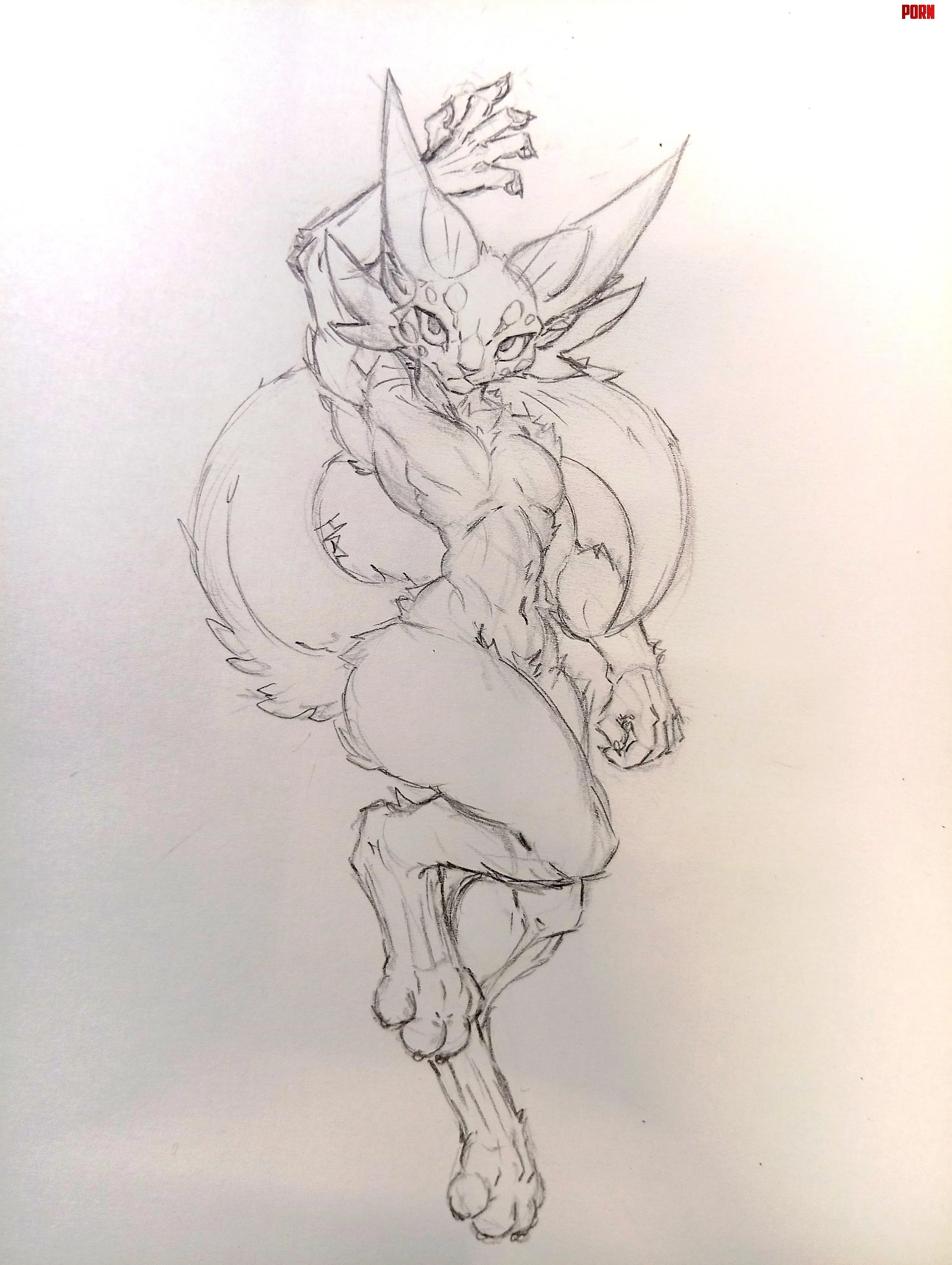 Y cat (sketch by me) might be suggestive by Hazimier