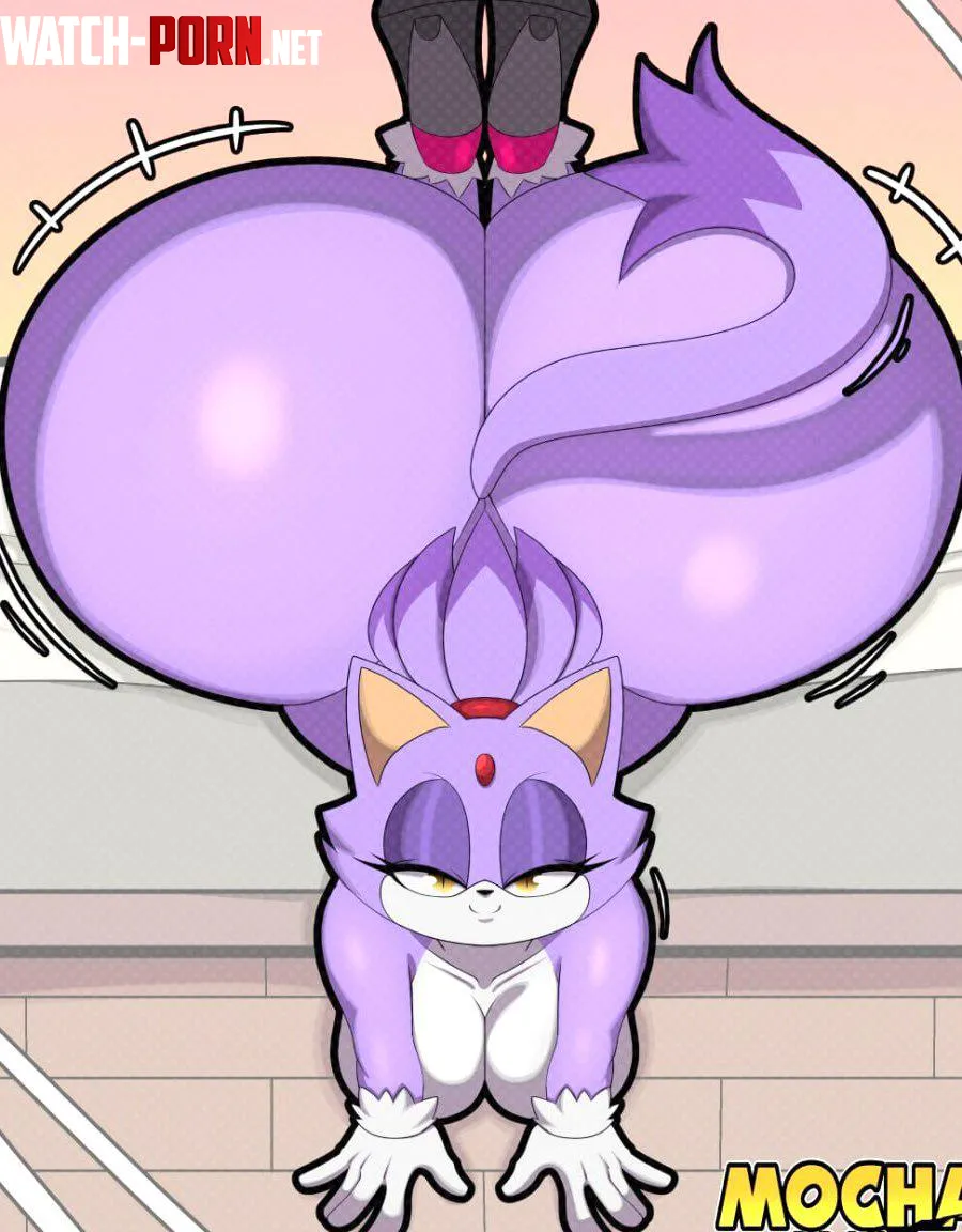 Blaze the Cat (mocha_draws) [Sonic the Hedgehog] by lilienneskyedx