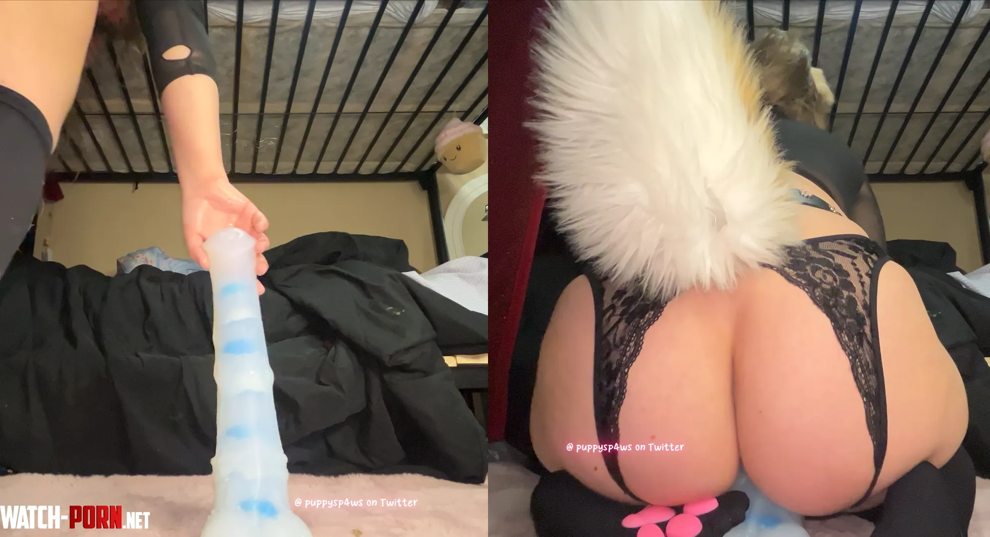 Before and after on my baddragon Chance! Look how it disappears lol by Puppyspawz