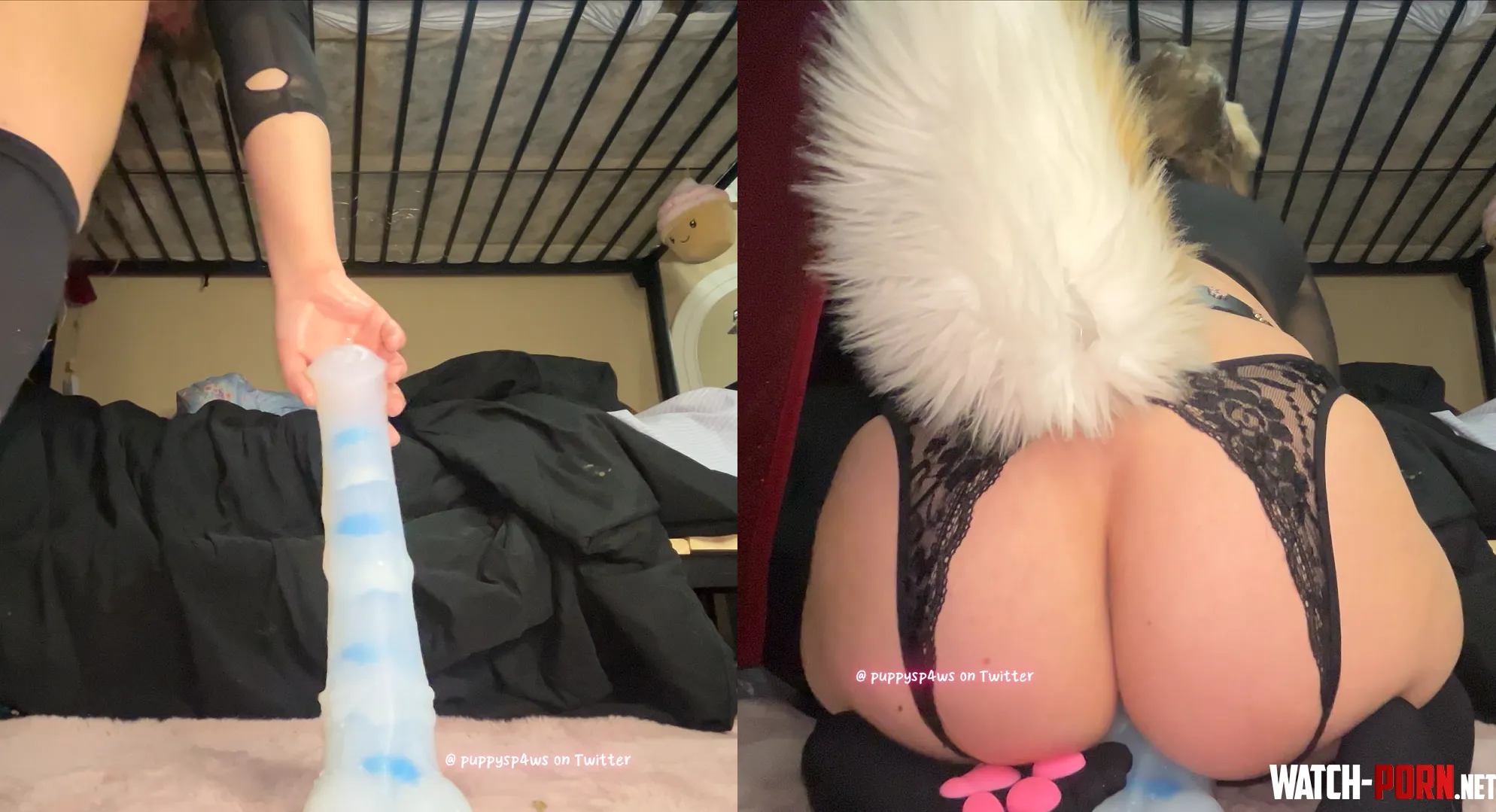 Before and after on my baddragon Chance! Look how it disappears lol by Puppyspawz