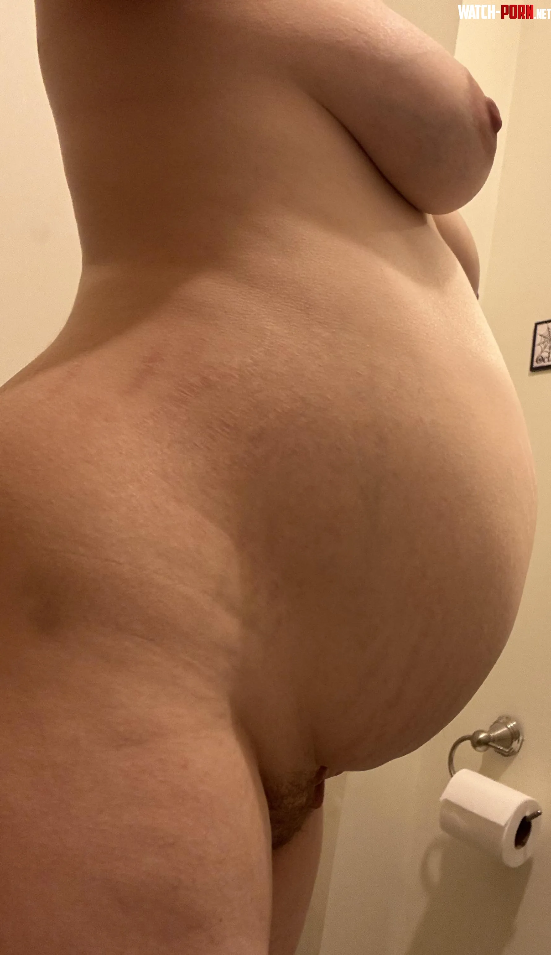 Pregnant slut by Ugly_Cow6969