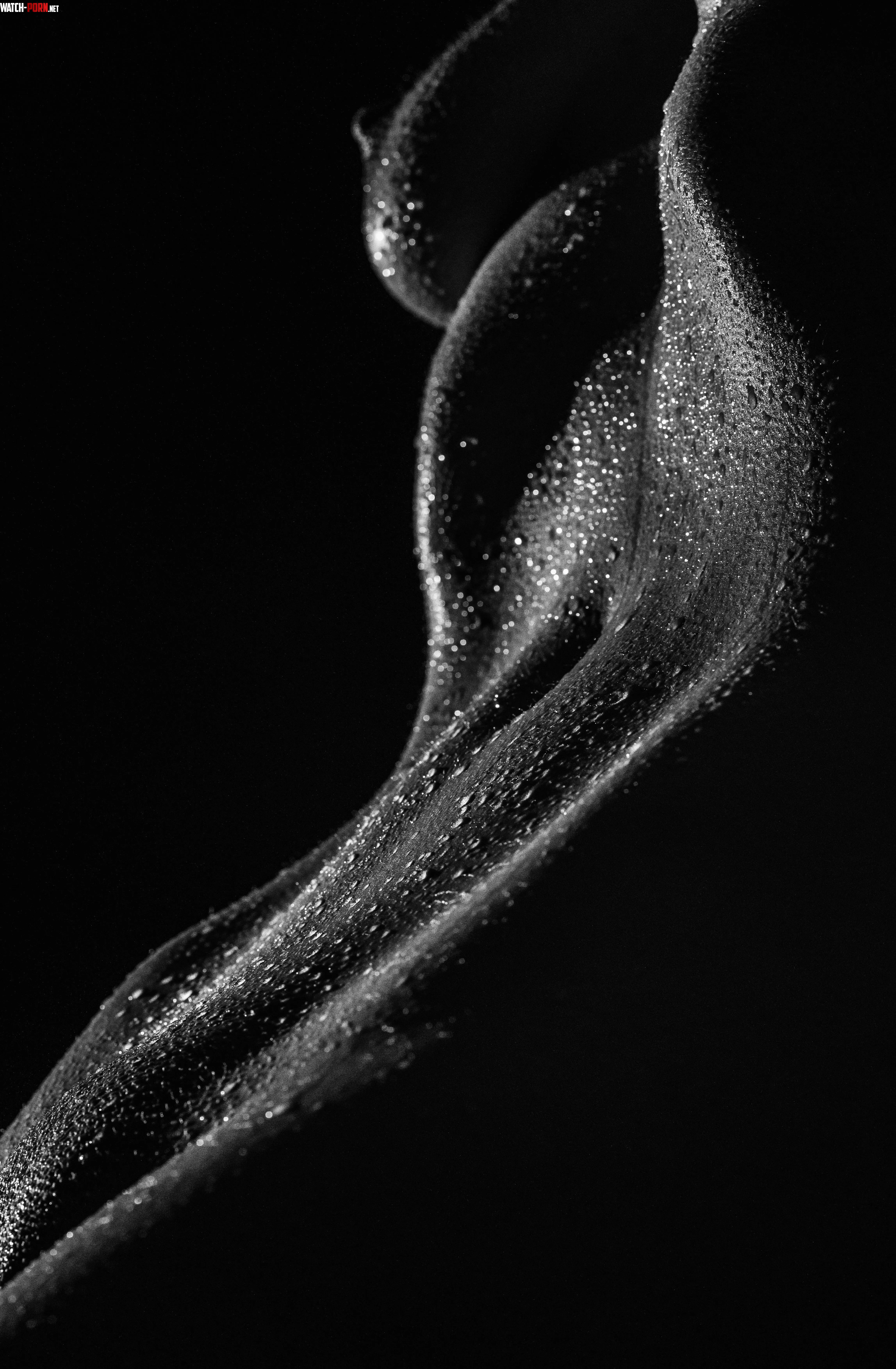 Annastasia by Anna_NudeArt