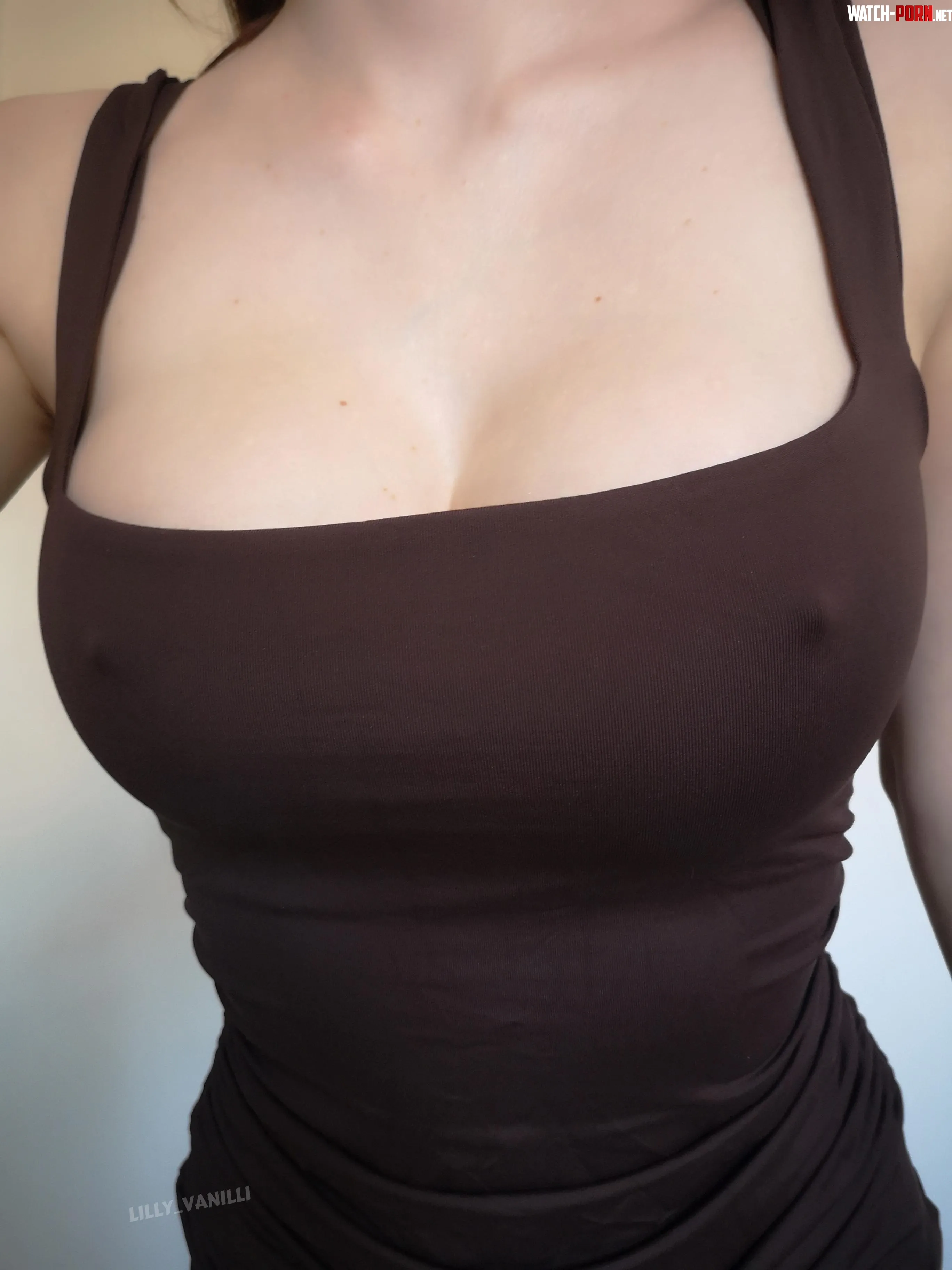 My little pokies by lilly_vanilli