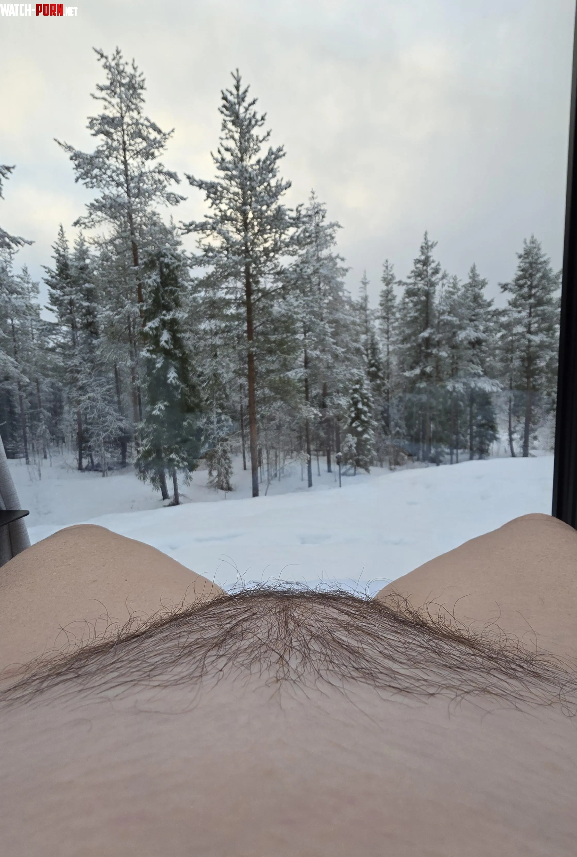 Mound with a bush to stay warm when it's cold outside...... by livin_life_69