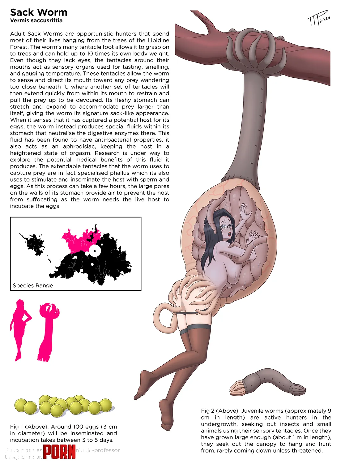 Ashley x sack worm (TheTentacleProfessor) by EnigmusPrime