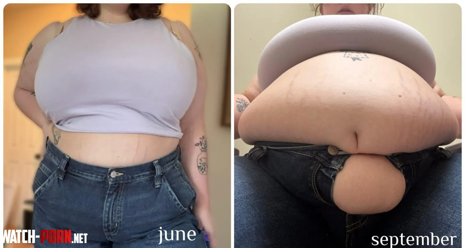 Search by tanga_mandapioense