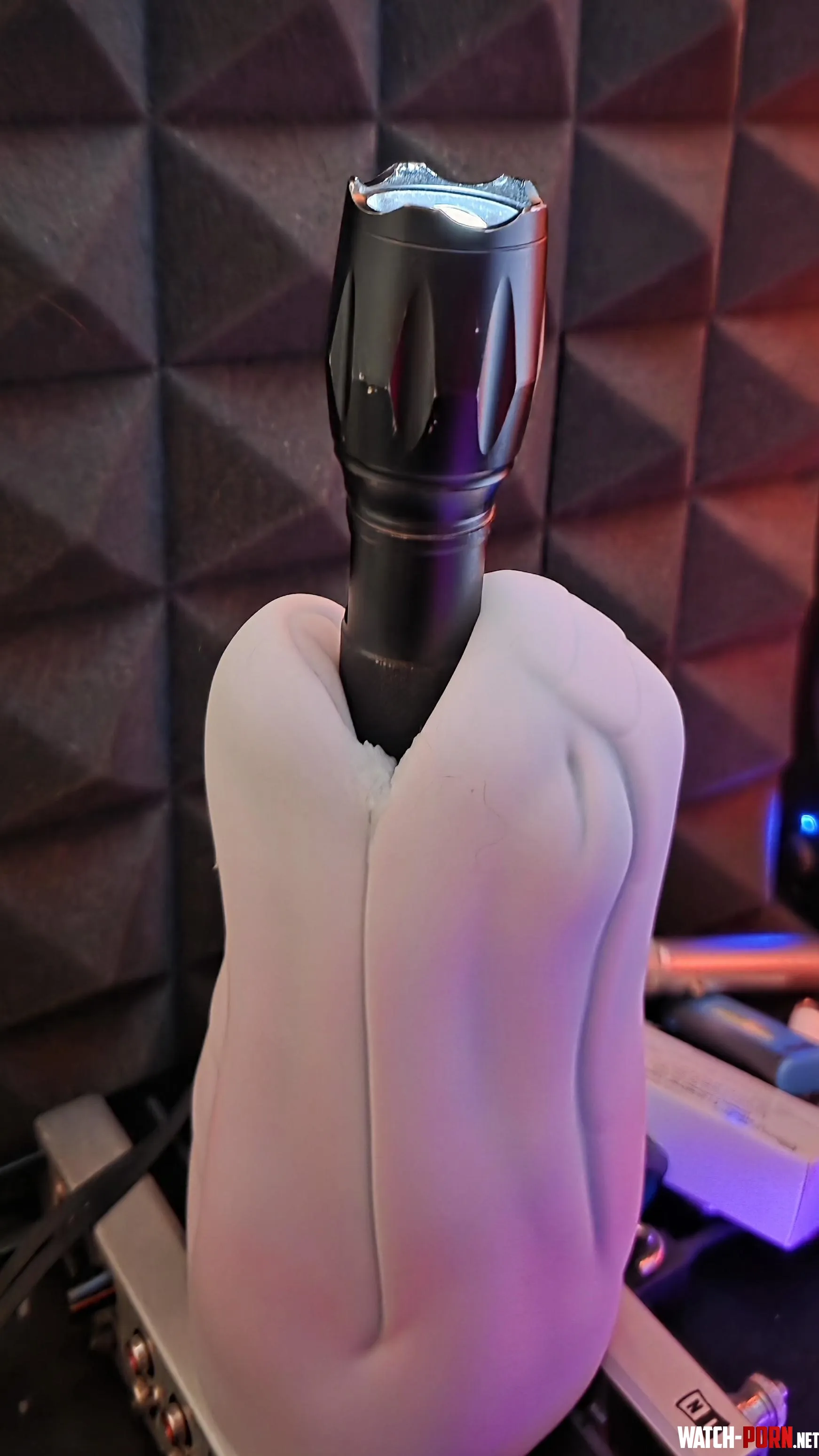 Episode 2 of things that shouldn't be in dragons 🤷 by Omgdragonslol