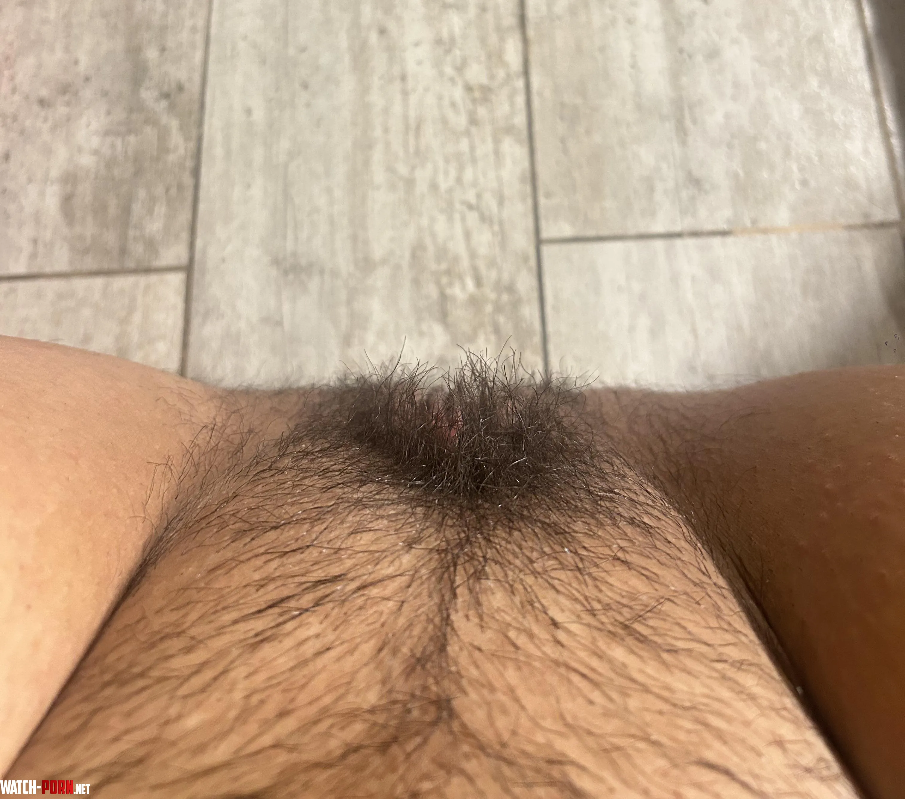 Yummy perfection bush by sweetdirty97