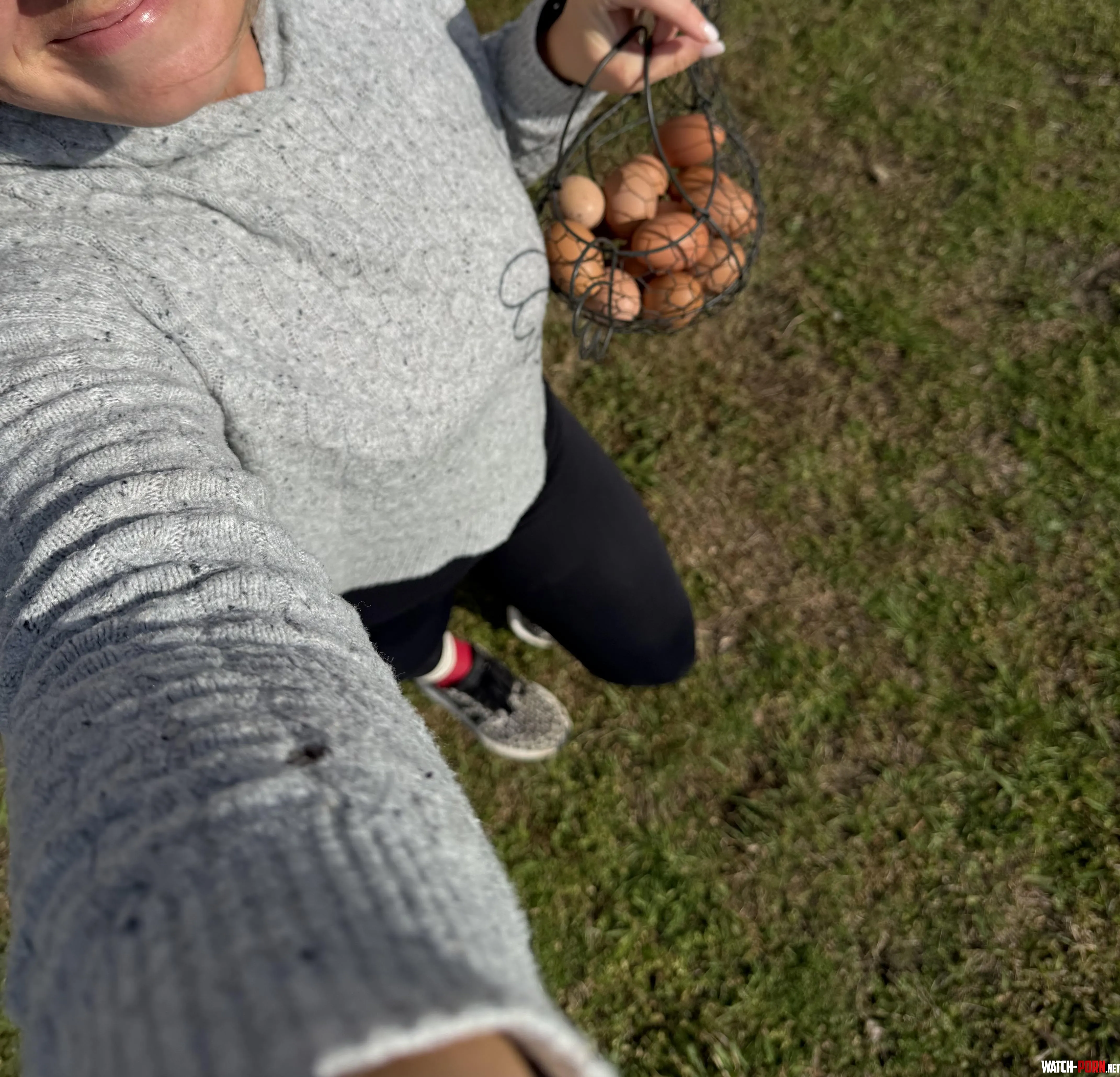 Winter has passed and the ladies are back laying. by IvyMarieExclusive