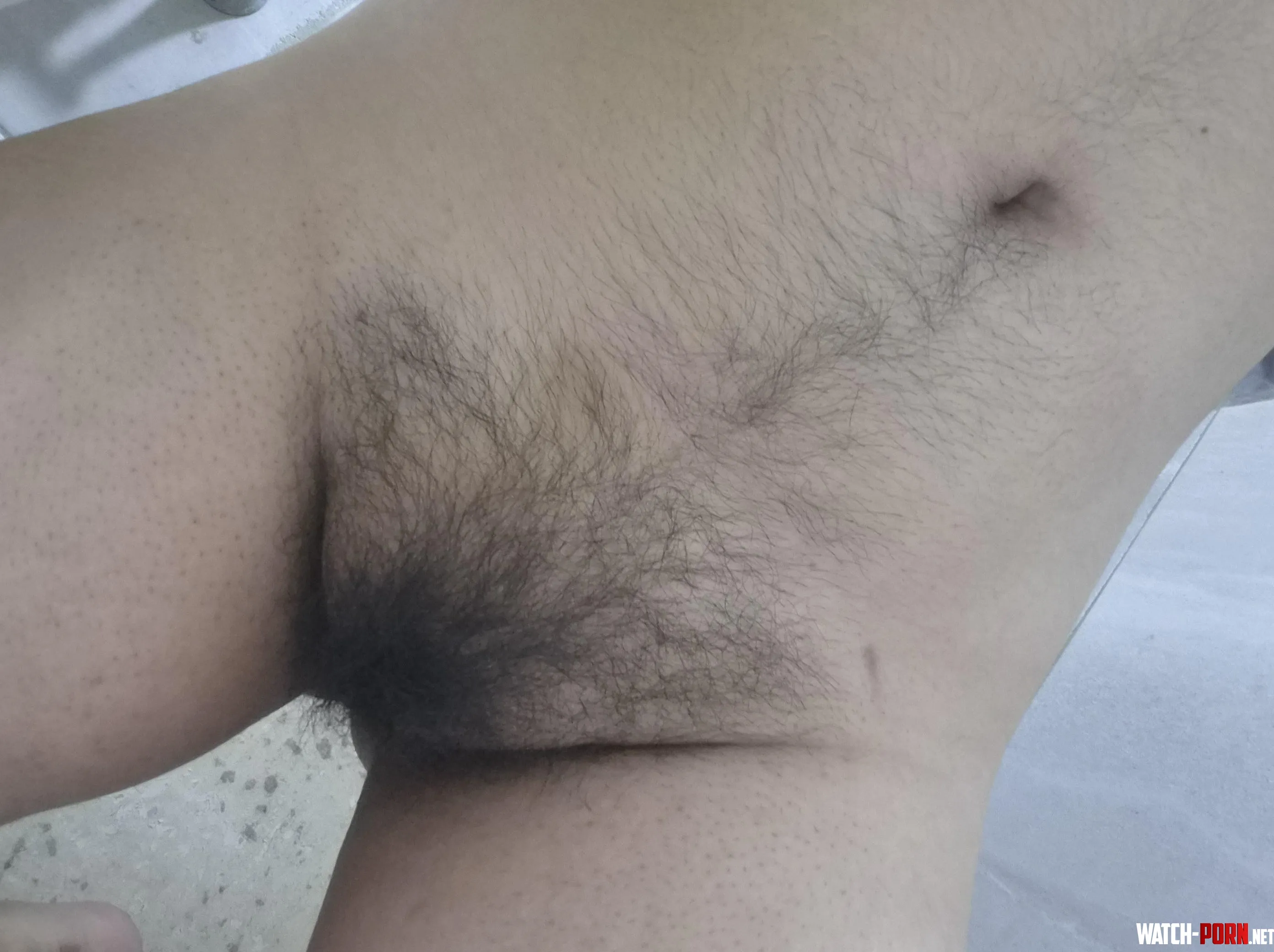 Rate my bush by Weary-Ease-4247