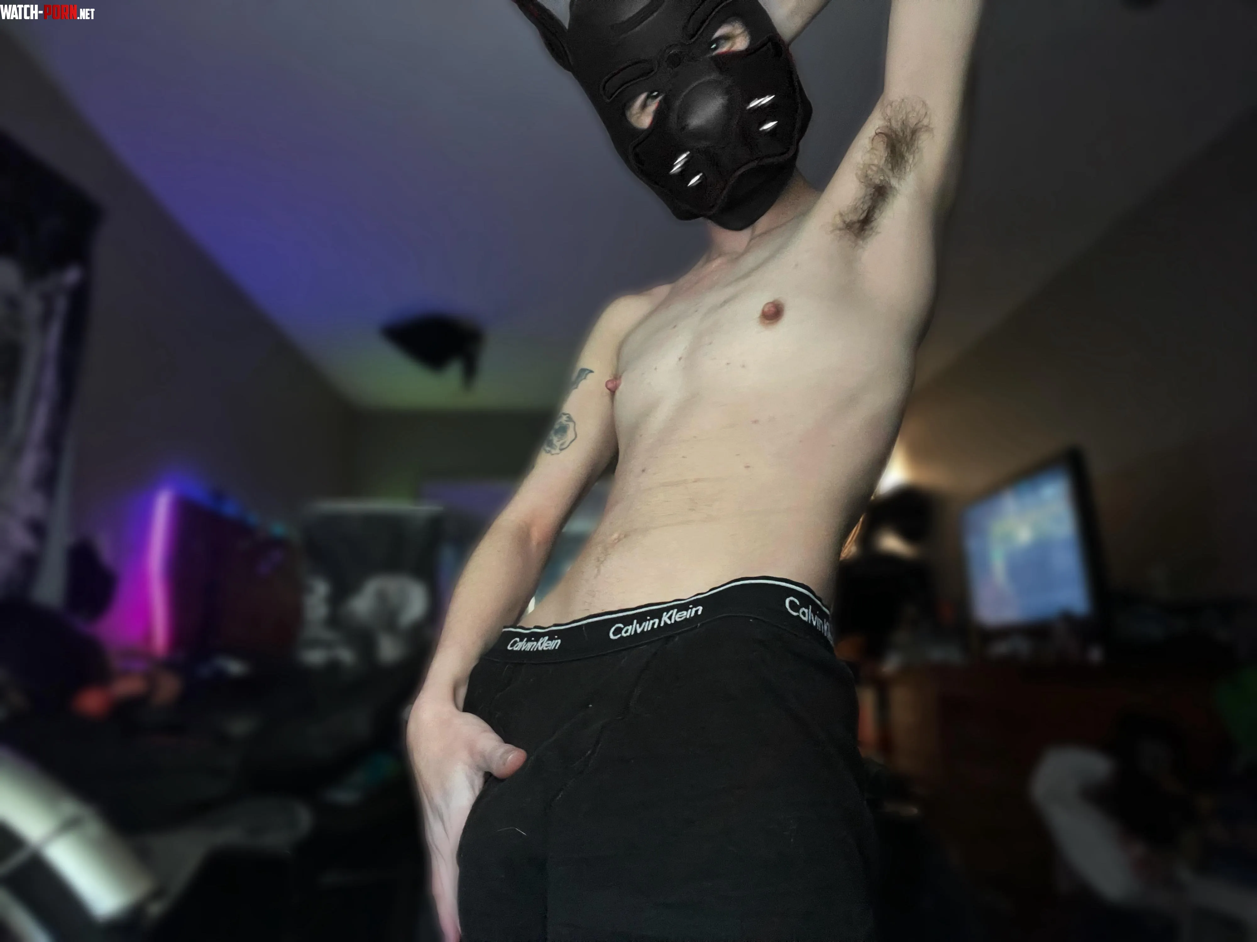 where are all the other pups ?? by thatbullyboy