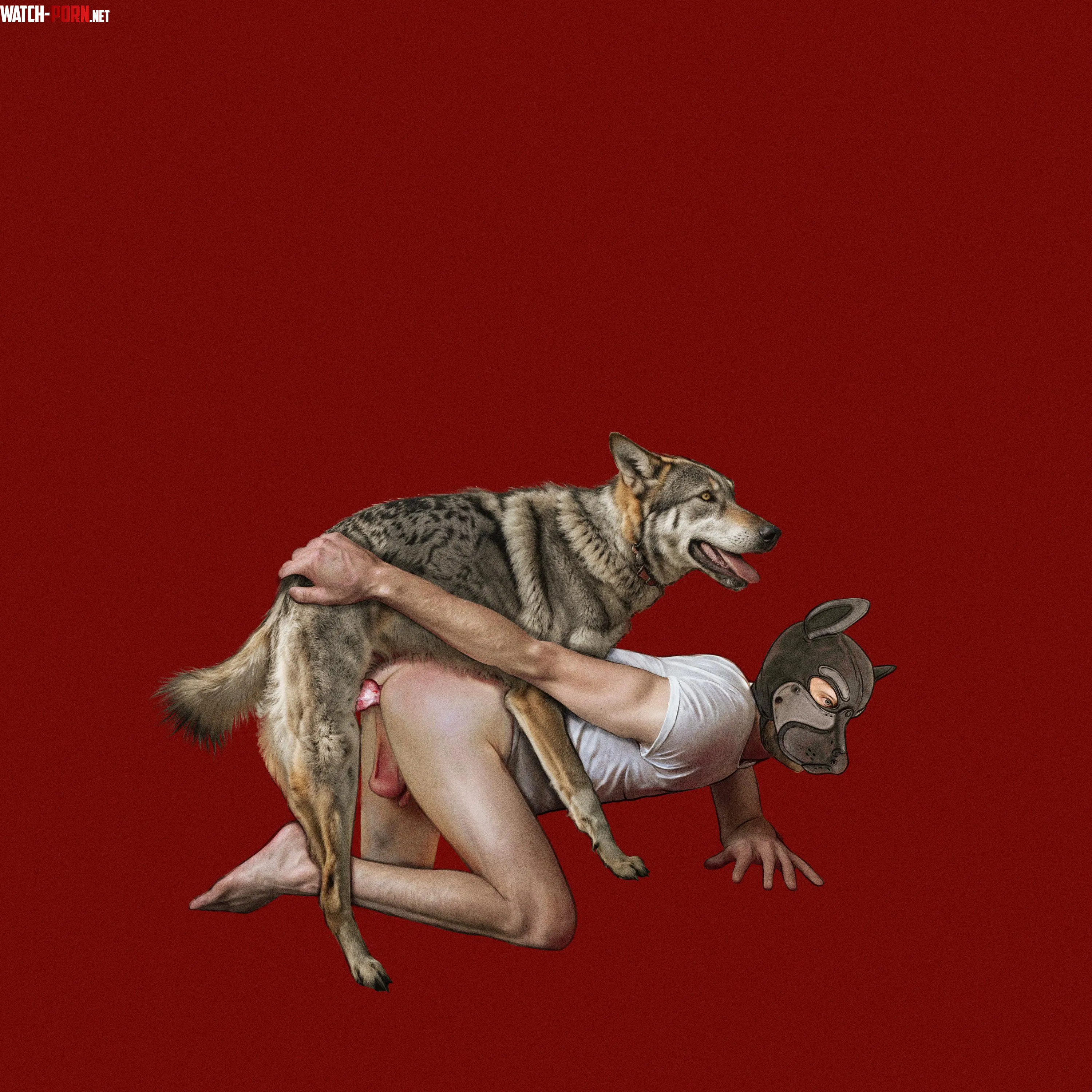 Letting my good boy fuck me (artist: pixelknotart)(person: me) by Pup_Knotlover