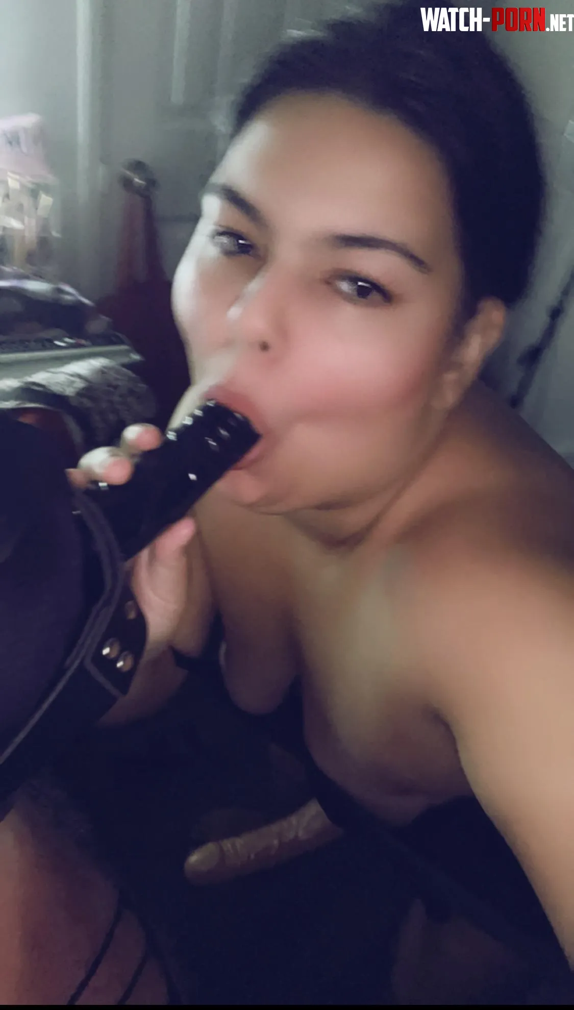 Pegging goddess ready for your sassy slave 👅🤤 by Melissalatinbbw