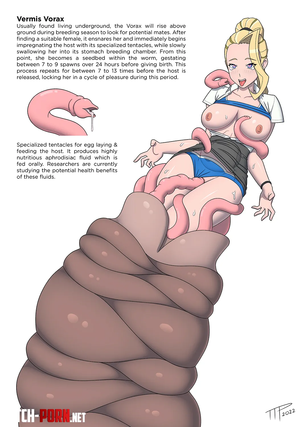 Dr. Elizabeth's turn (TheTentacleProfessor) by EnigmusPrime