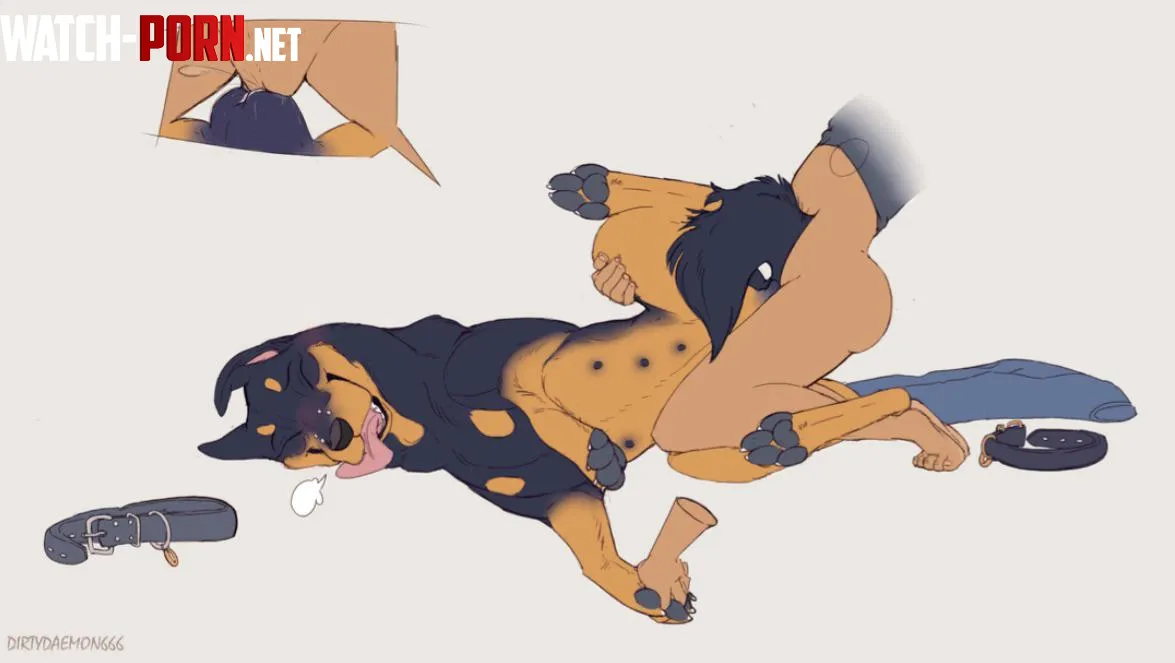 Love for the female/female feral. [dirtydaemon666] by Odd-Knowledge9561