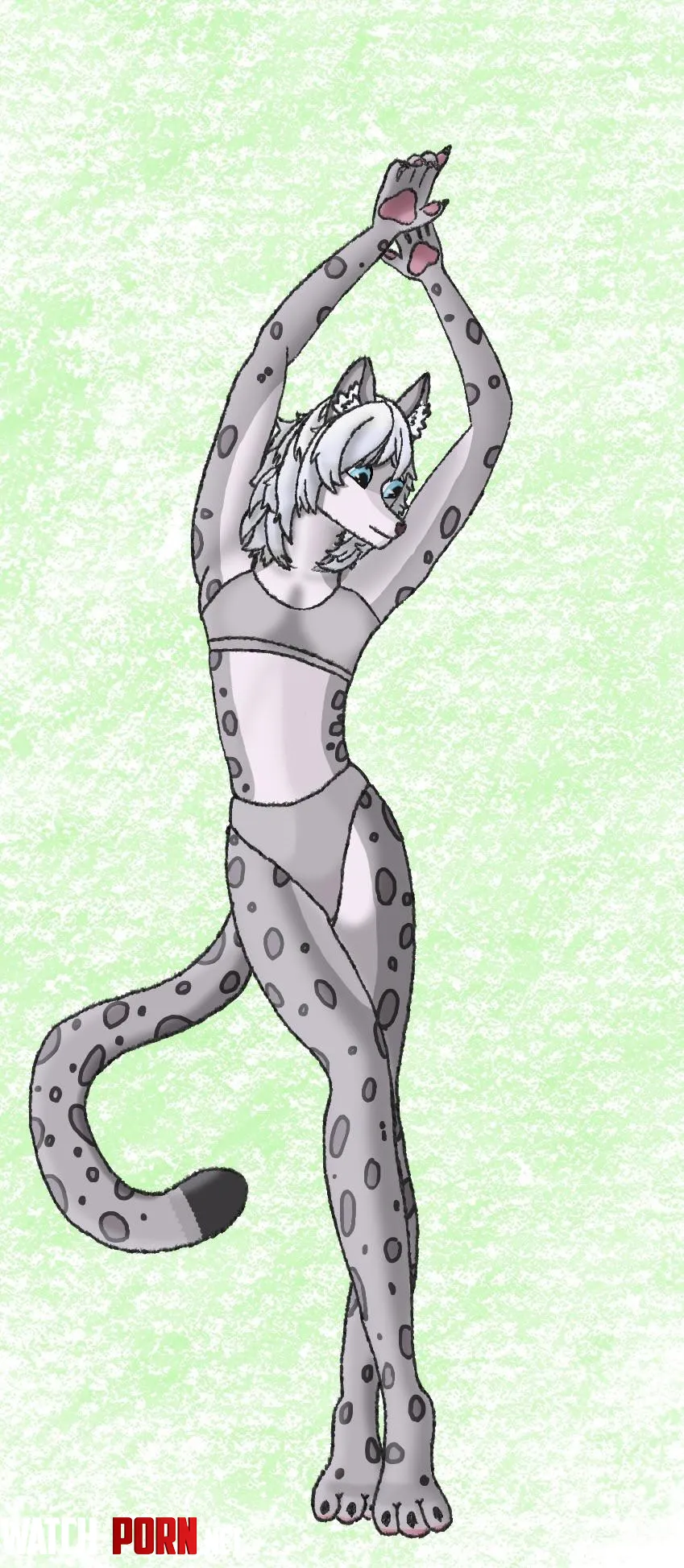 Snow leopard’s first shoot [by me] by SomeonesDignity