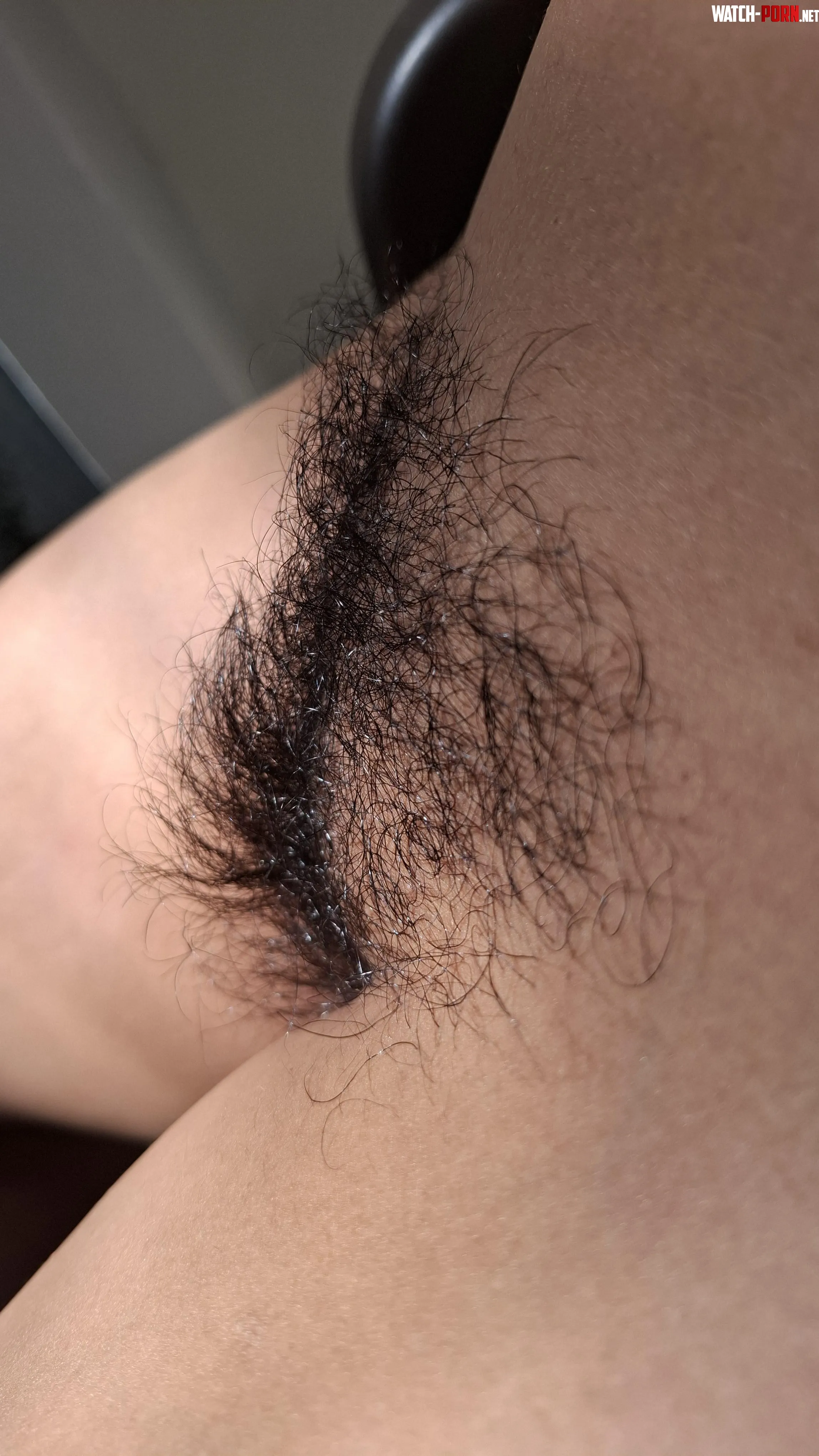 I love this crest. Good morning people! by XattlaLust7