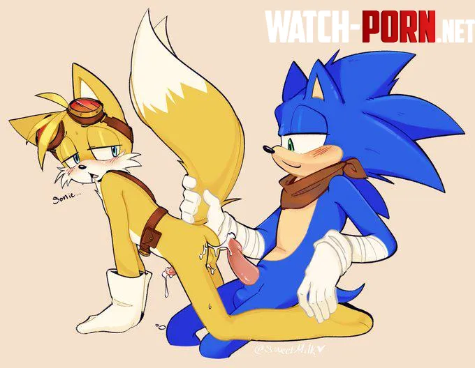 Sonic and Tails bonding (sweet milk) by Illustrious-Ice9656