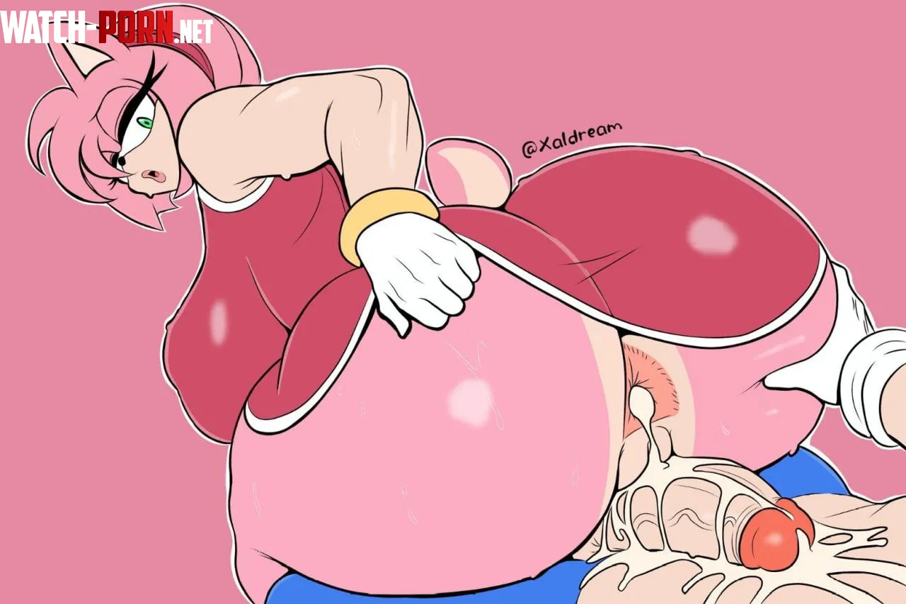 Amy Rose x Sonic the Hedgehog (xaldream) [Sonic] by Dense_Tax4107