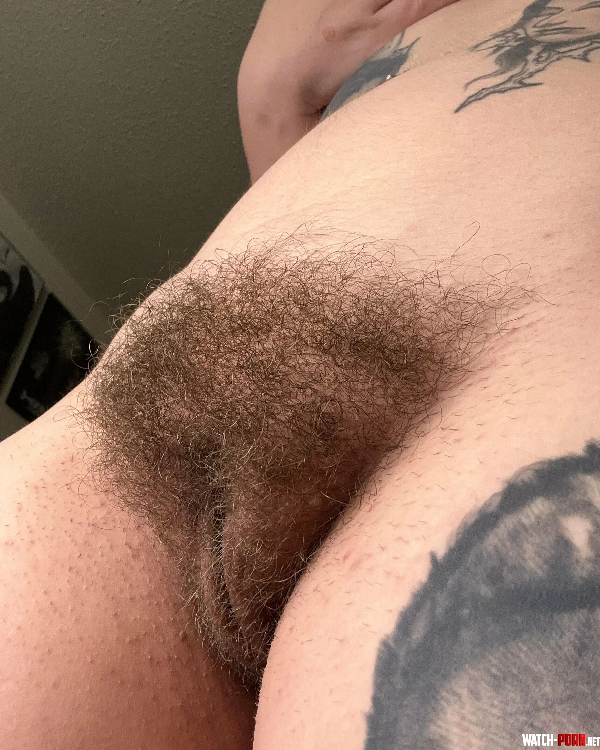 I’ve been told my bush is intense by lexiegrll