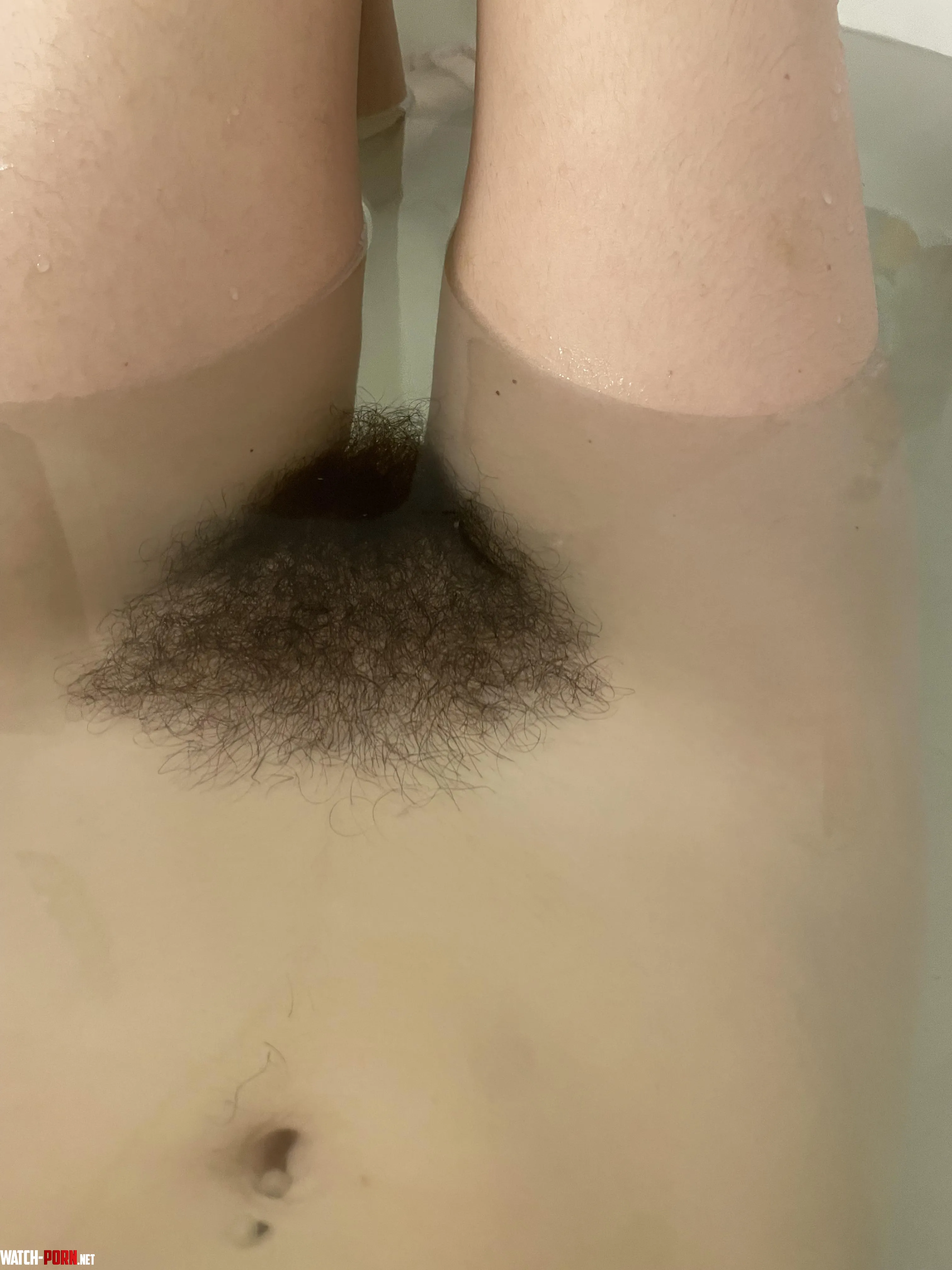 Big bush in the bath by NessaRyans