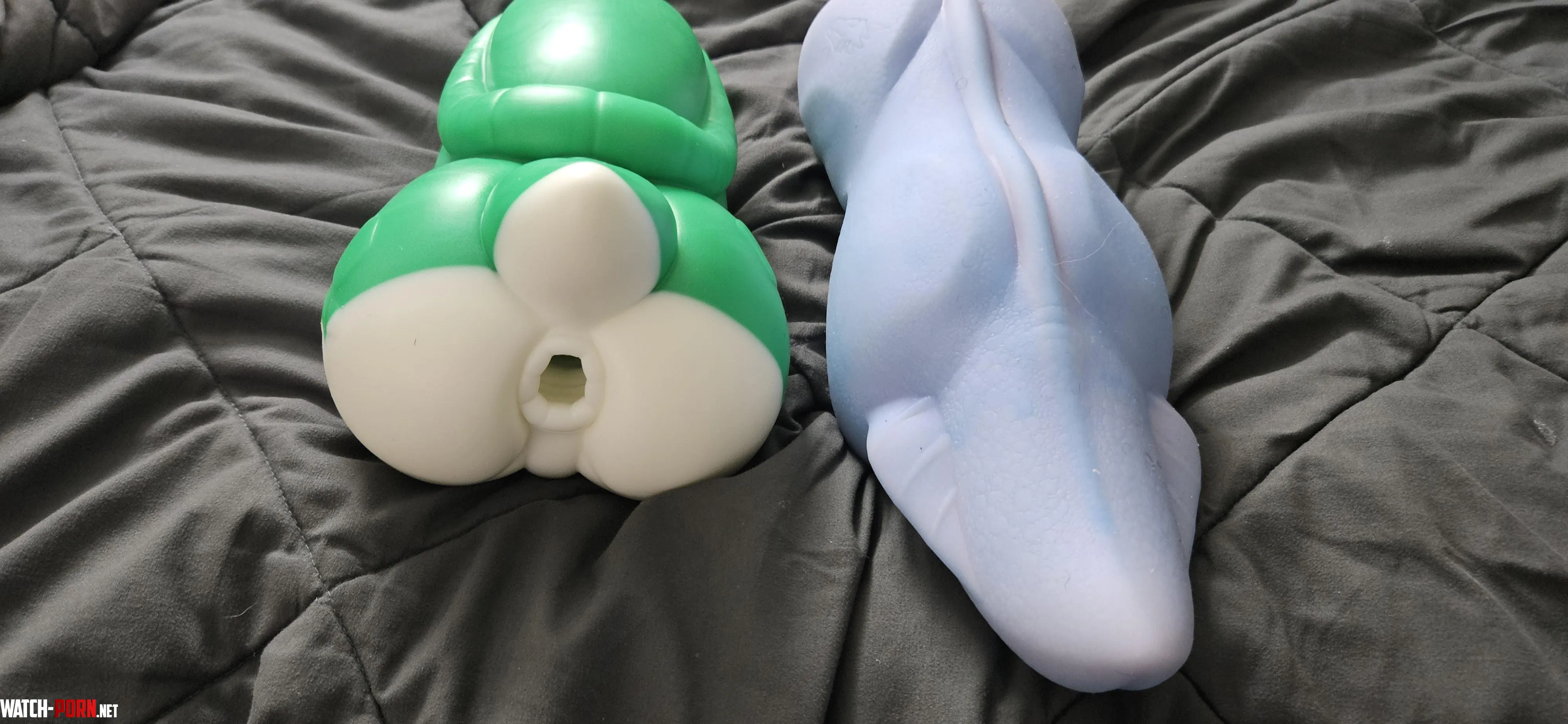 Tooshi is here! by BigTee66