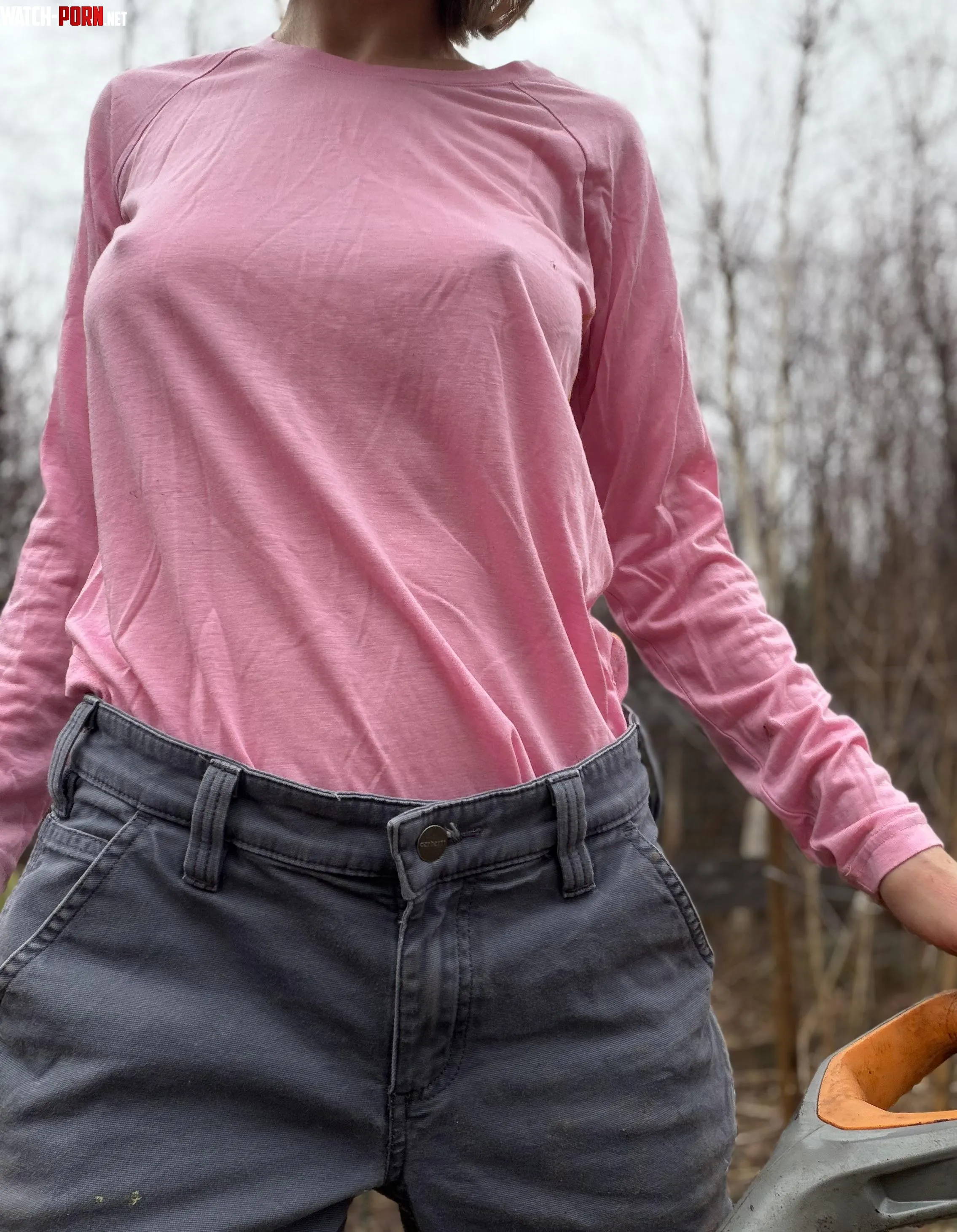 Pokey while gardening by ExoticArches